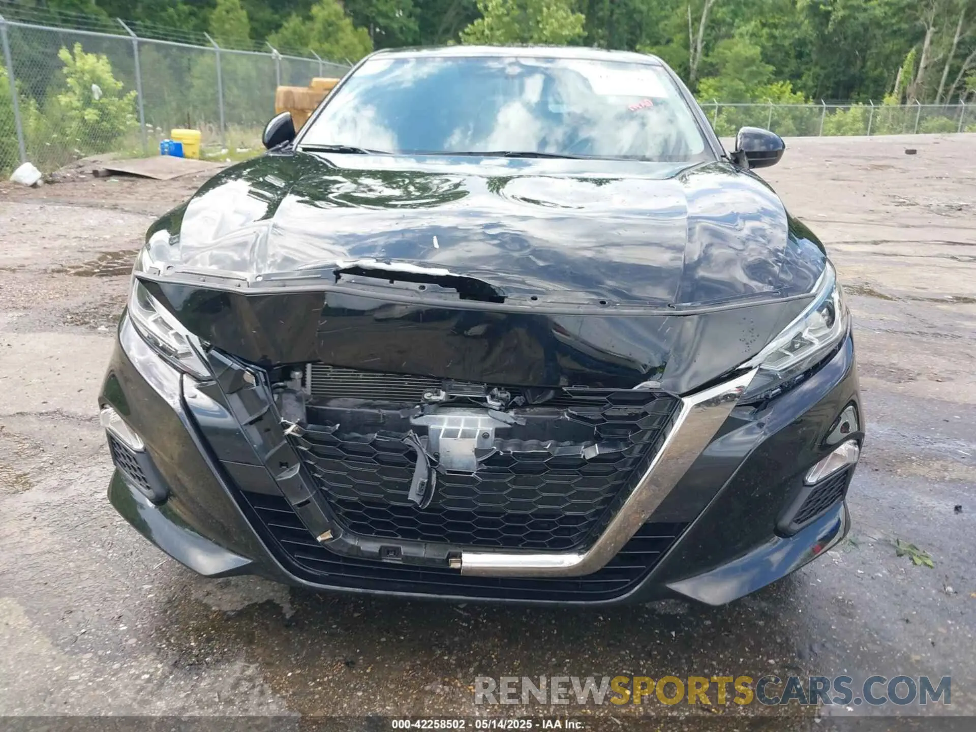 12 fotografías del automóvil dañado 1N4BL4CV2KC193614 NISSAN ALTIMA 2019