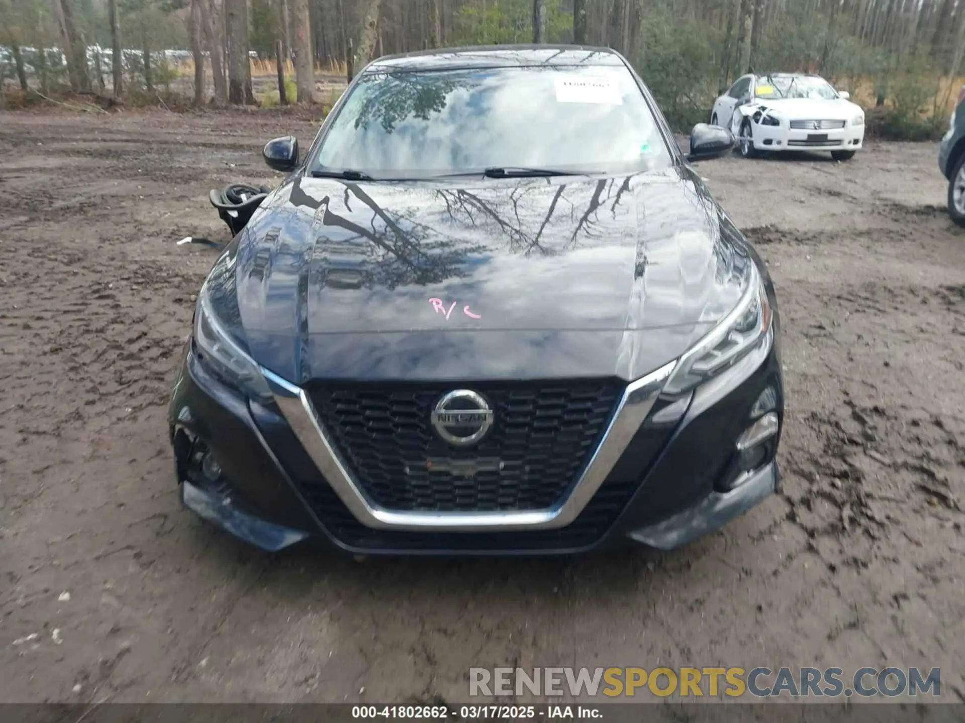 12 fotografías del automóvil dañado 1N4BL4DV2KC220096 NISSAN ALTIMA 2019