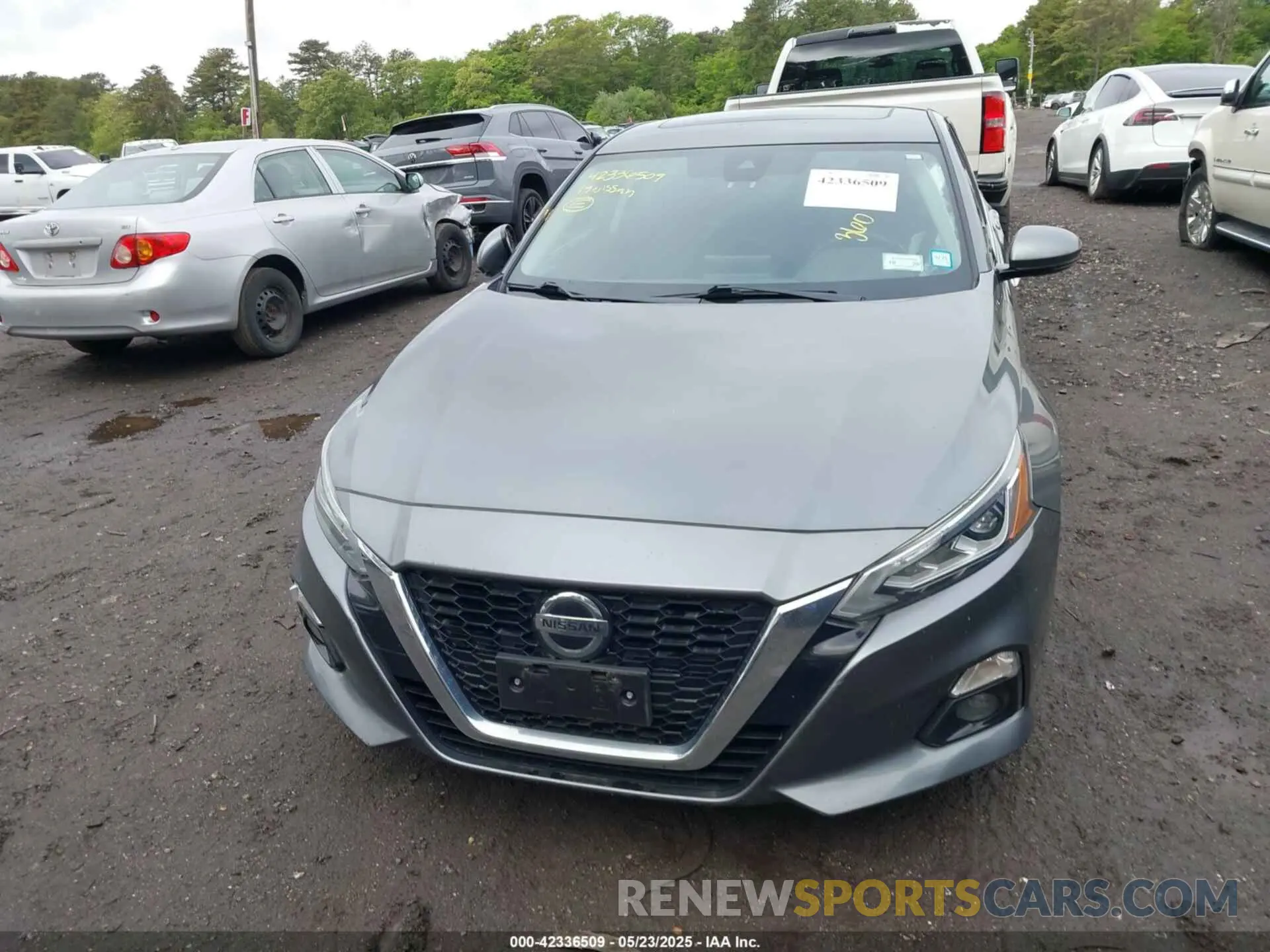 11 fotografías del automóvil dañado 1N4BL4EV0KC229457 NISSAN ALTIMA 2019