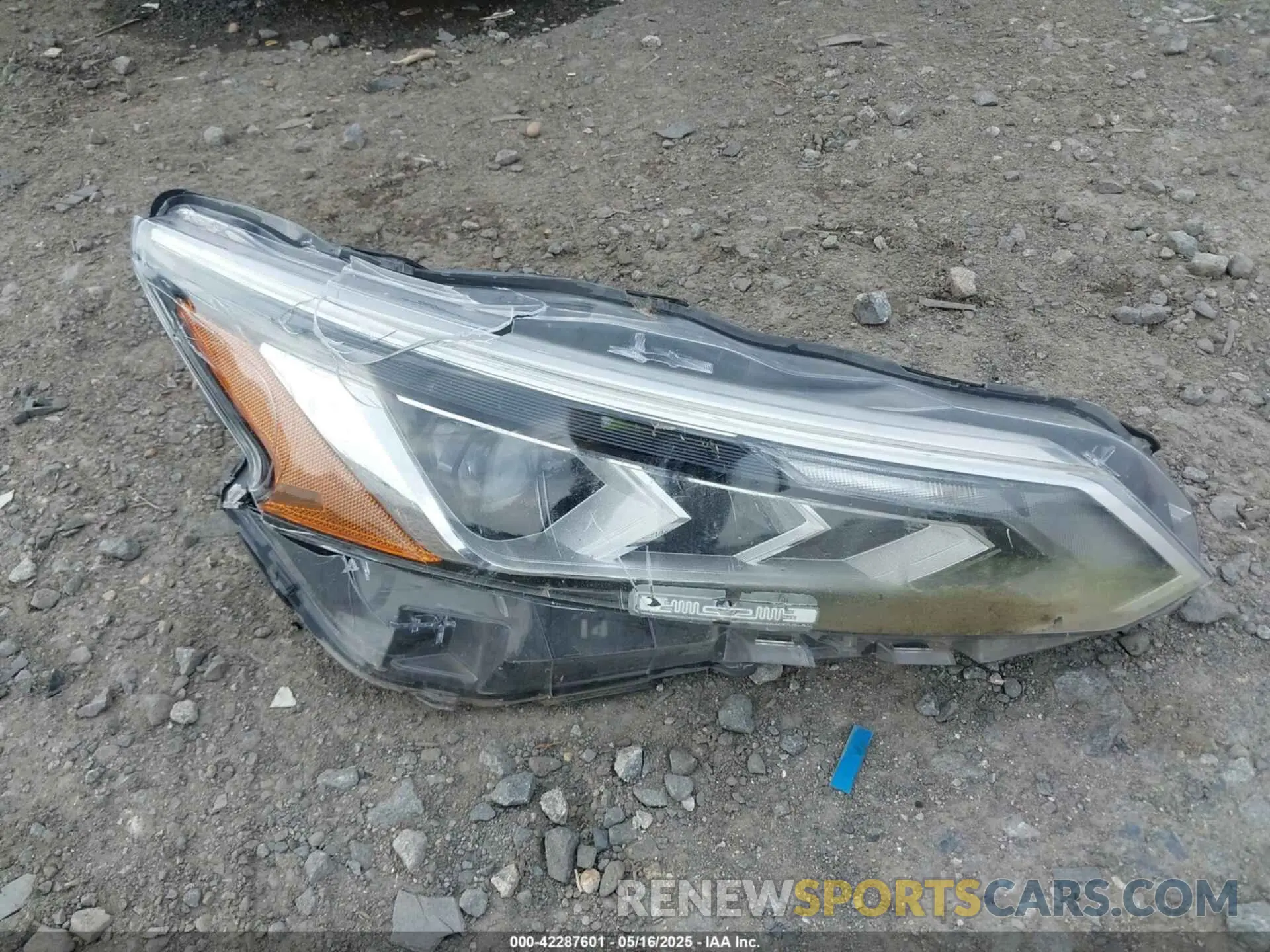 12 fotografías del automóvil dañado 1N4BL4EV1KC113619 NISSAN ALTIMA 2019