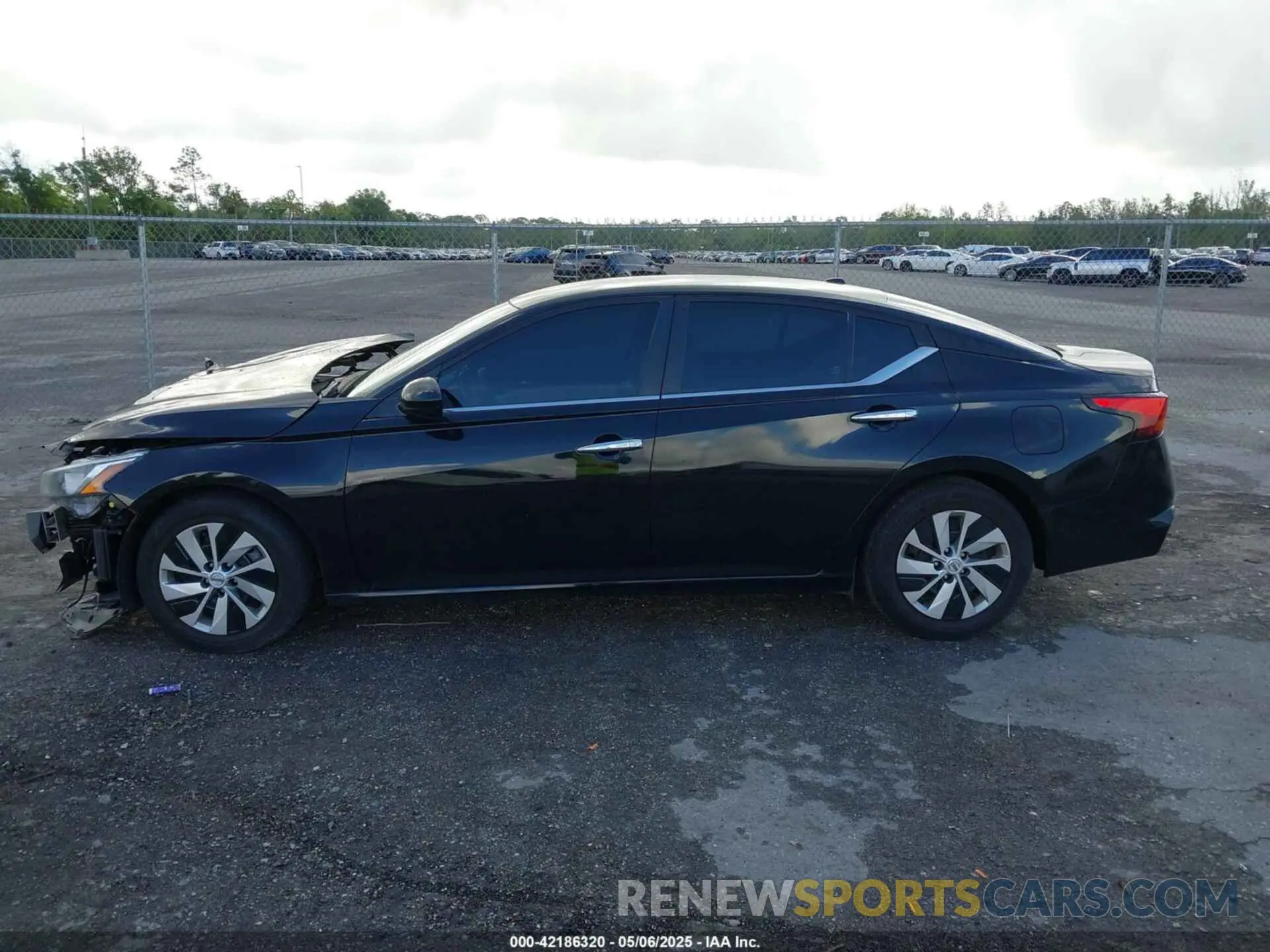 14 fotografías del automóvil dañado 1N4BL4BV5LN317544 NISSAN ALTIMA 2020