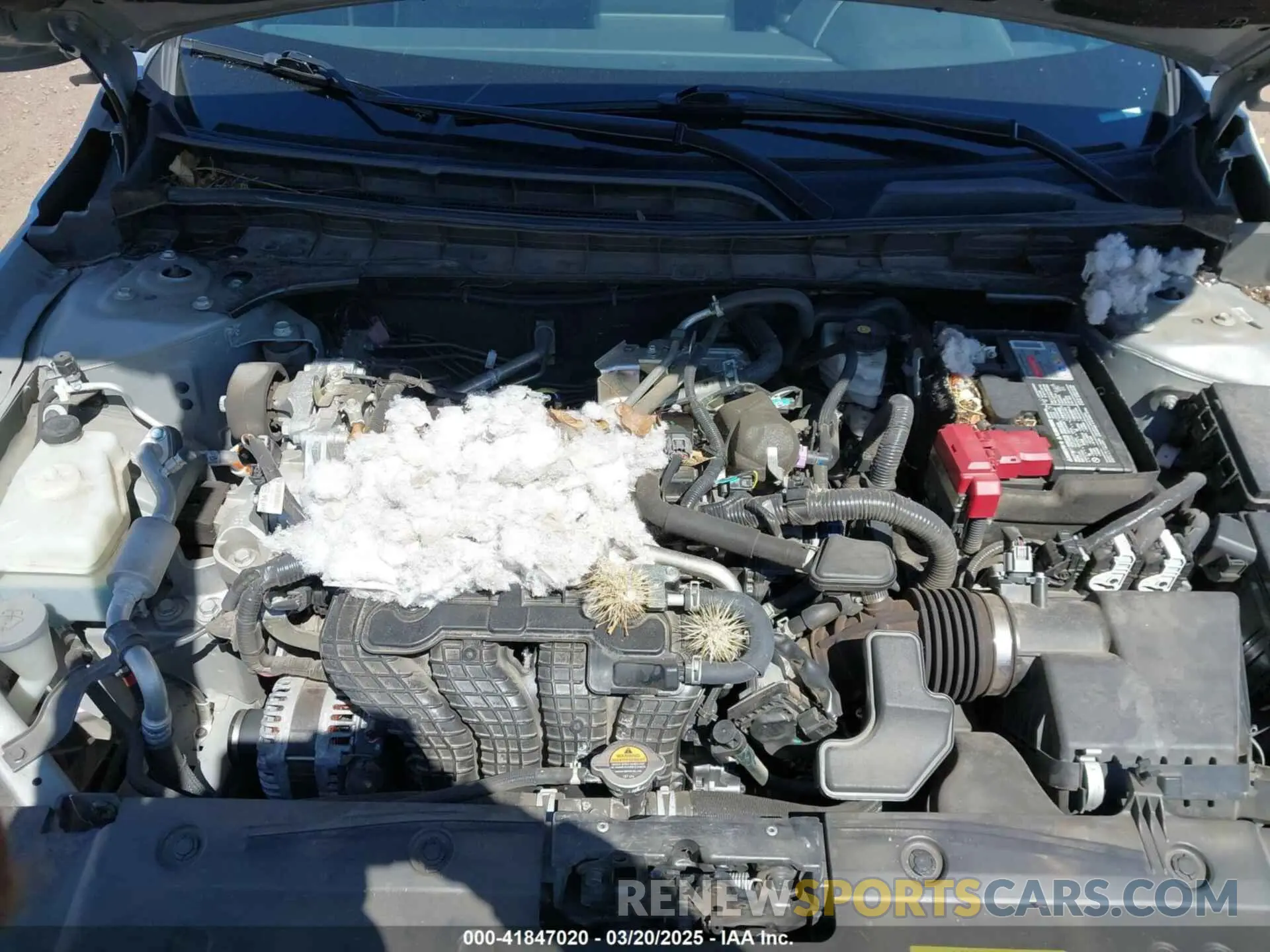 10 fotografías del automóvil dañado 1N4BL4DV8NN339621 NISSAN ALTIMA 2022