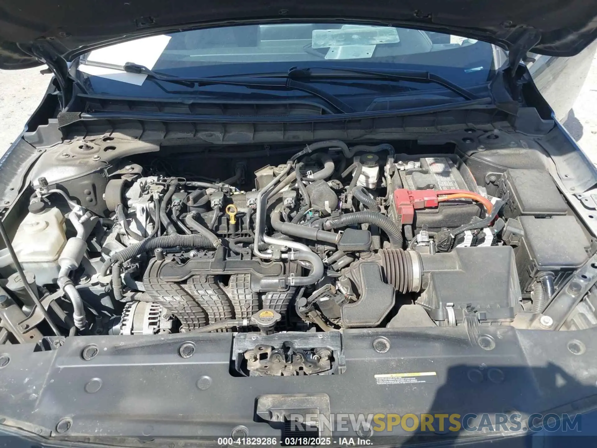10 fotografías del automóvil dañado 1N4BL4DV1PN318399 NISSAN ALTIMA 2023