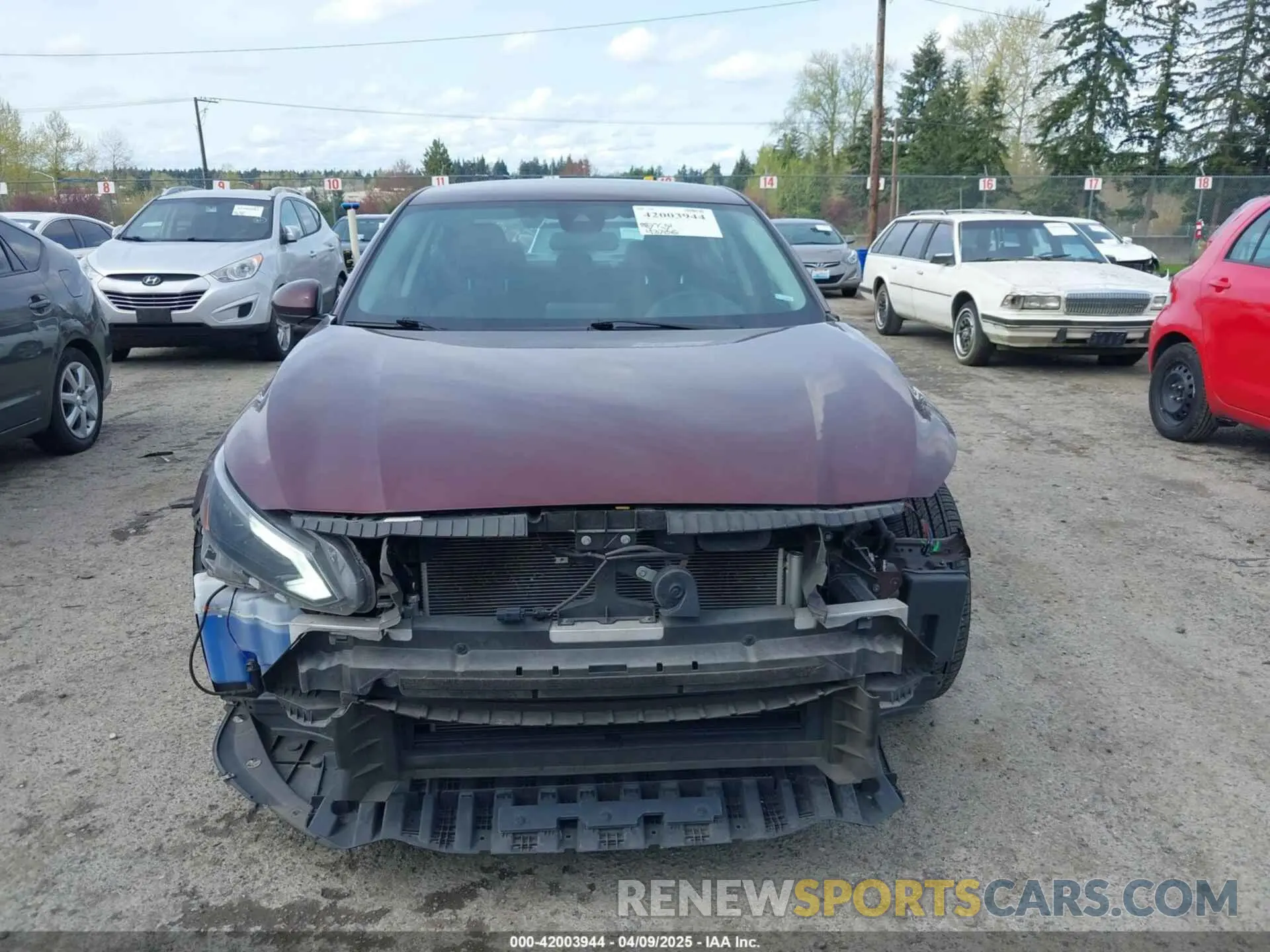 13 fotografías del automóvil dañado 1N4BL4DV8PN359225 NISSAN ALTIMA 2023