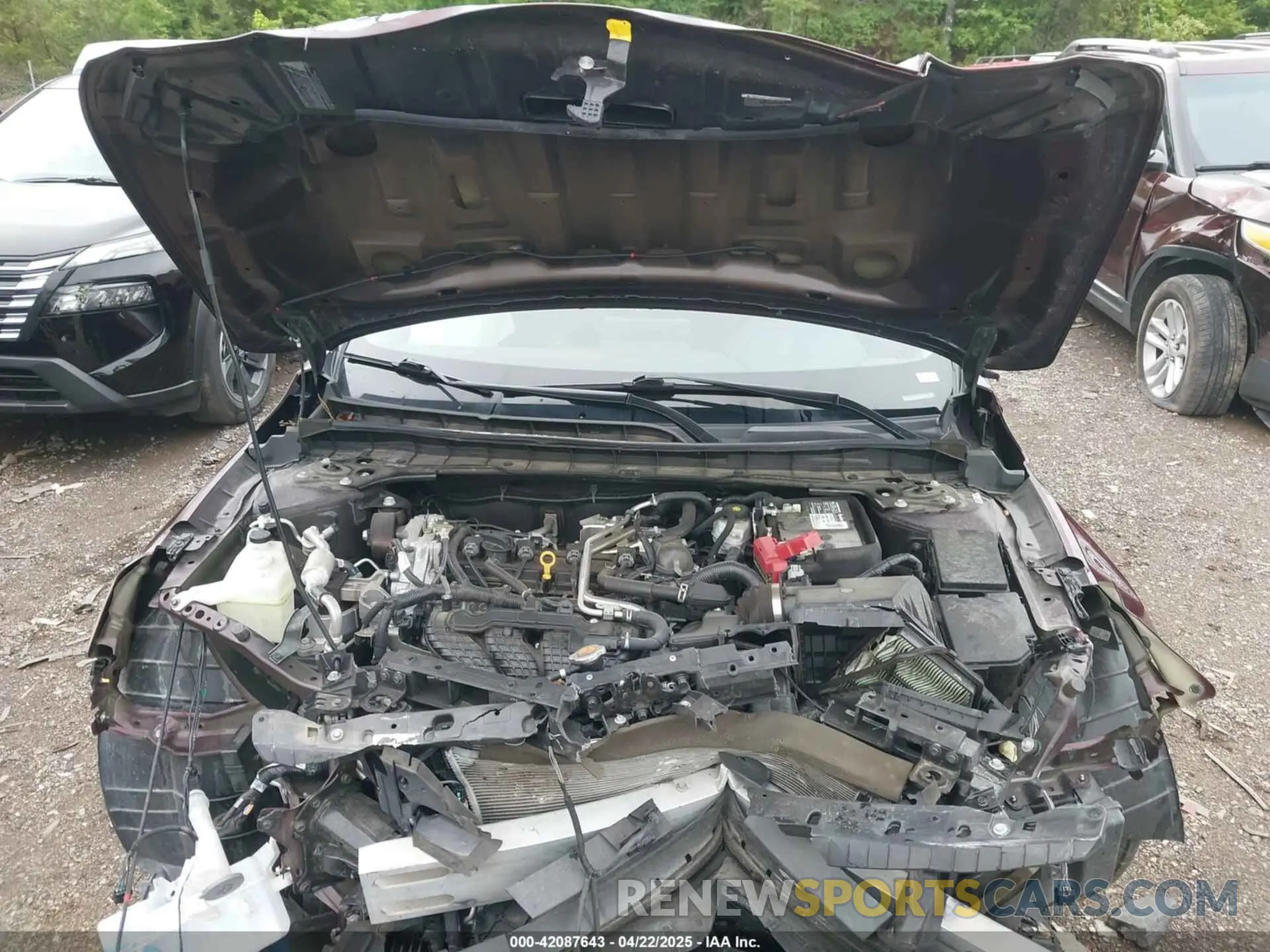 10 fotografías del automóvil dañado 1N4BL4DV8PN375103 NISSAN ALTIMA 2023
