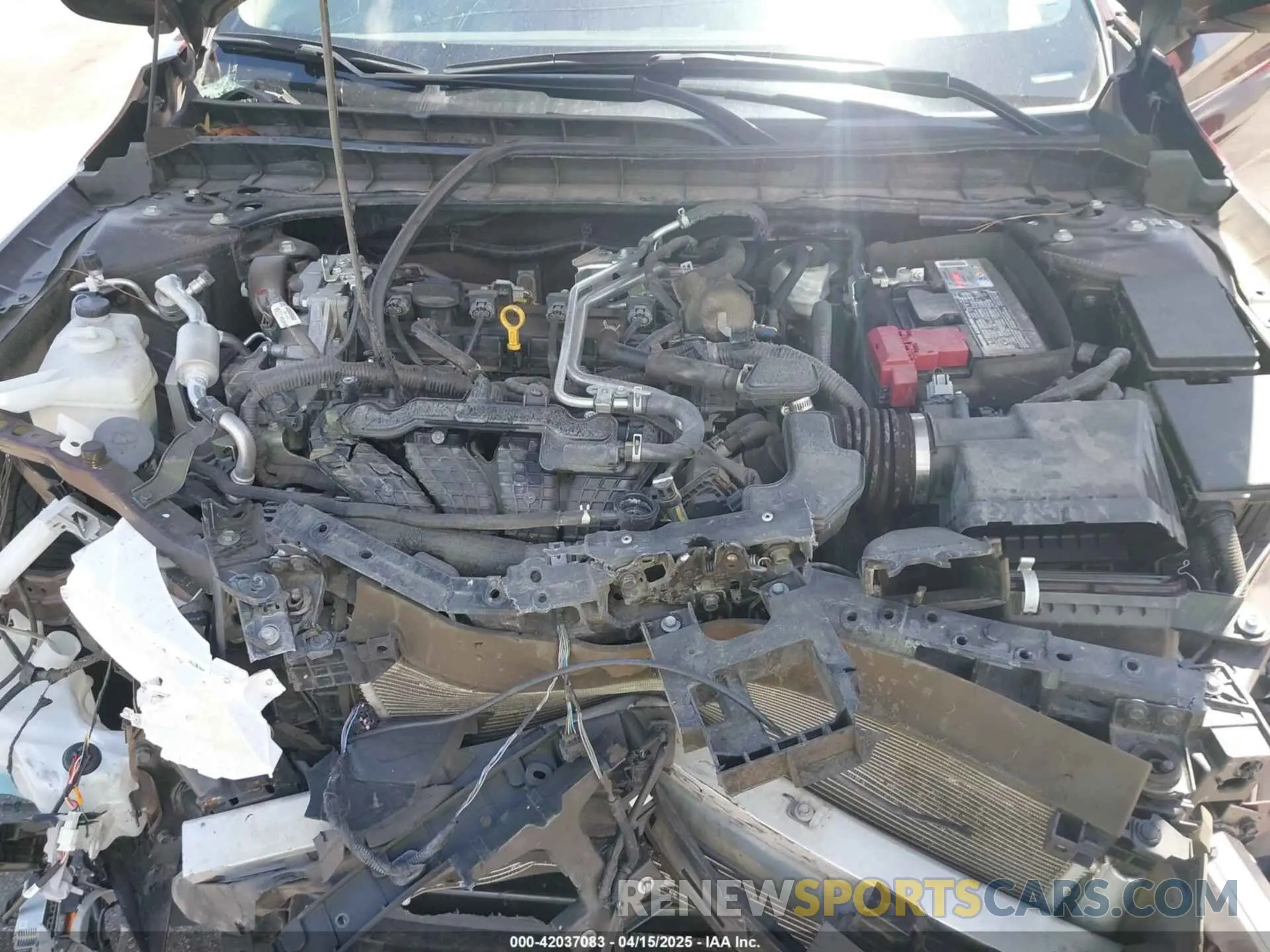 10 fotografías del automóvil dañado 1N4BL4DV9PN360495 NISSAN ALTIMA 2023