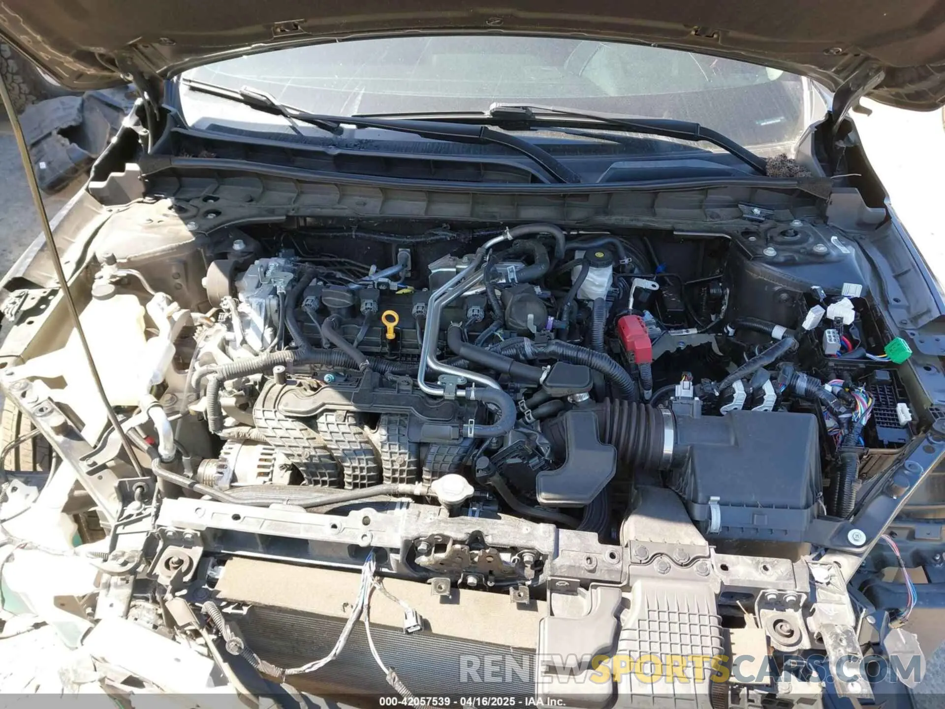 10 fotografías del automóvil dañado 1N4BL4EW8PN418006 NISSAN ALTIMA 2023