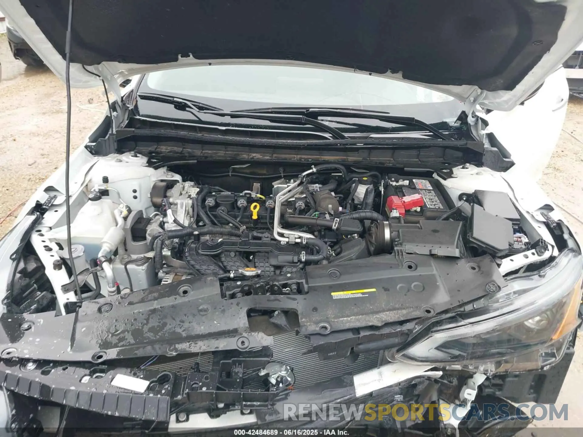 10 fotografías del automóvil dañado 1N4BL4DV2RN329074 NISSAN ALTIMA 2024