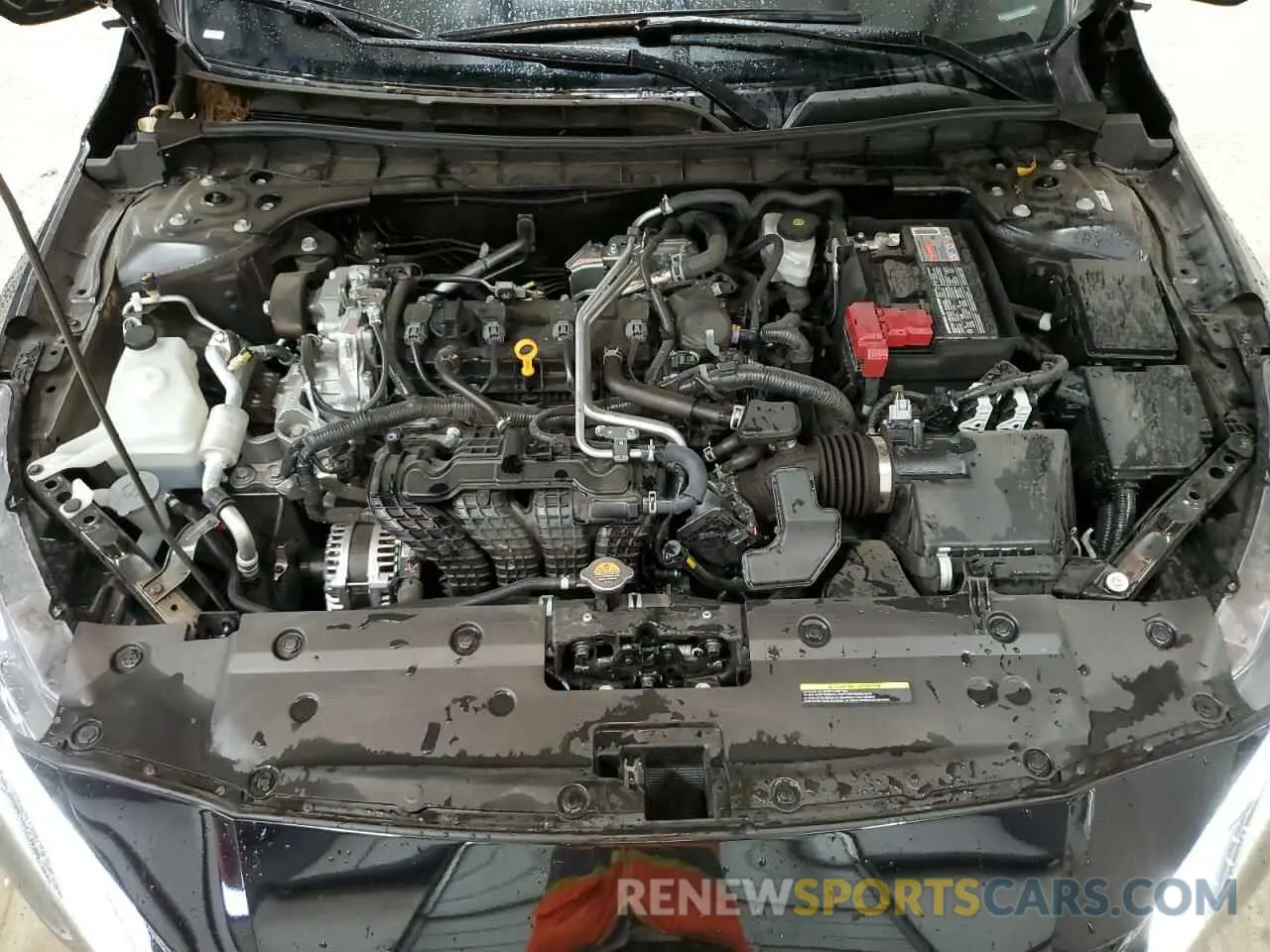 11 fotografías del automóvil dañado 1N4BL4DV1SN344137 NISSAN ALTIMA 2025