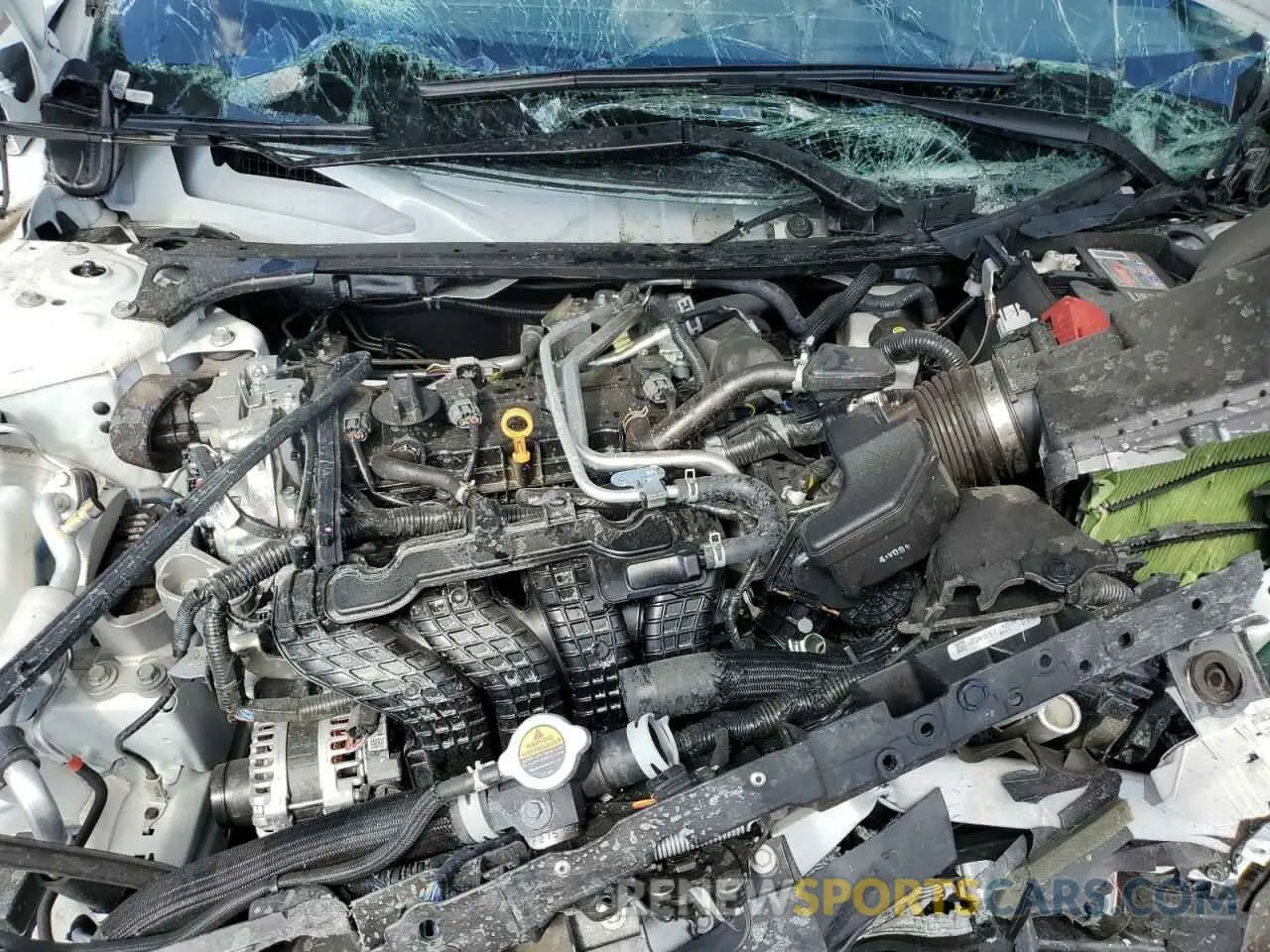 11 fotografías del automóvil dañado 1N4BL4DV1SN354179 NISSAN ALTIMA 2025