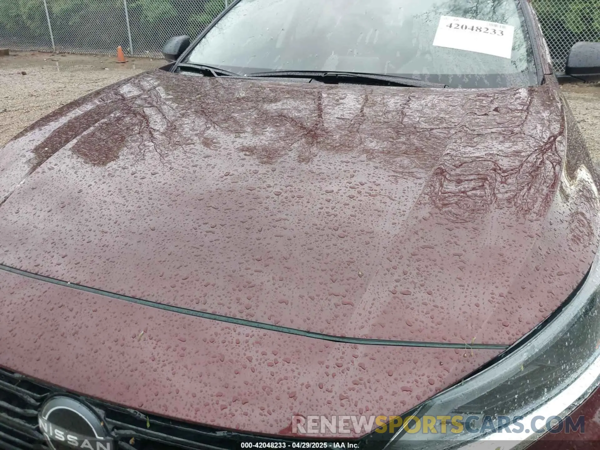 6 fotografías del automóvil dañado 1N4BL4DV3SN335052 NISSAN ALTIMA 2025
