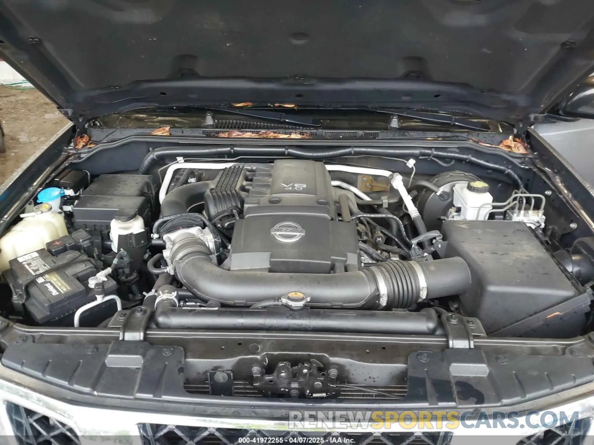 10 fotografías del automóvil dañado 1N6DD0ER0KN799634 NISSAN FRONTIER 2019