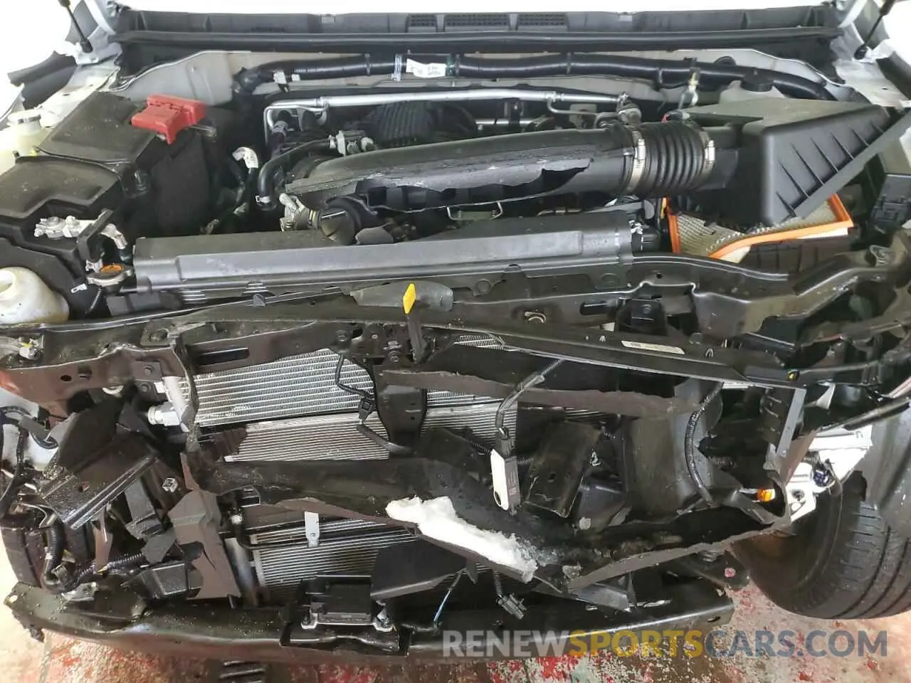 11 fotografías del automóvil dañado 1N6ED1CM2RN647995 NISSAN FRONTIER 2024