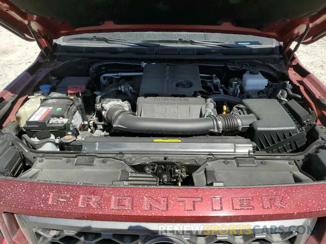 11 fotografías del automóvil dañado 1N6ED1EJ0RN634987 NISSAN FRONTIER 2024