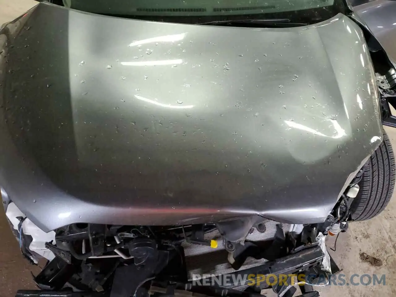 11 fotografías del automóvil dañado 3N1CP5BV8PL561125 NISSAN KICKS 2023