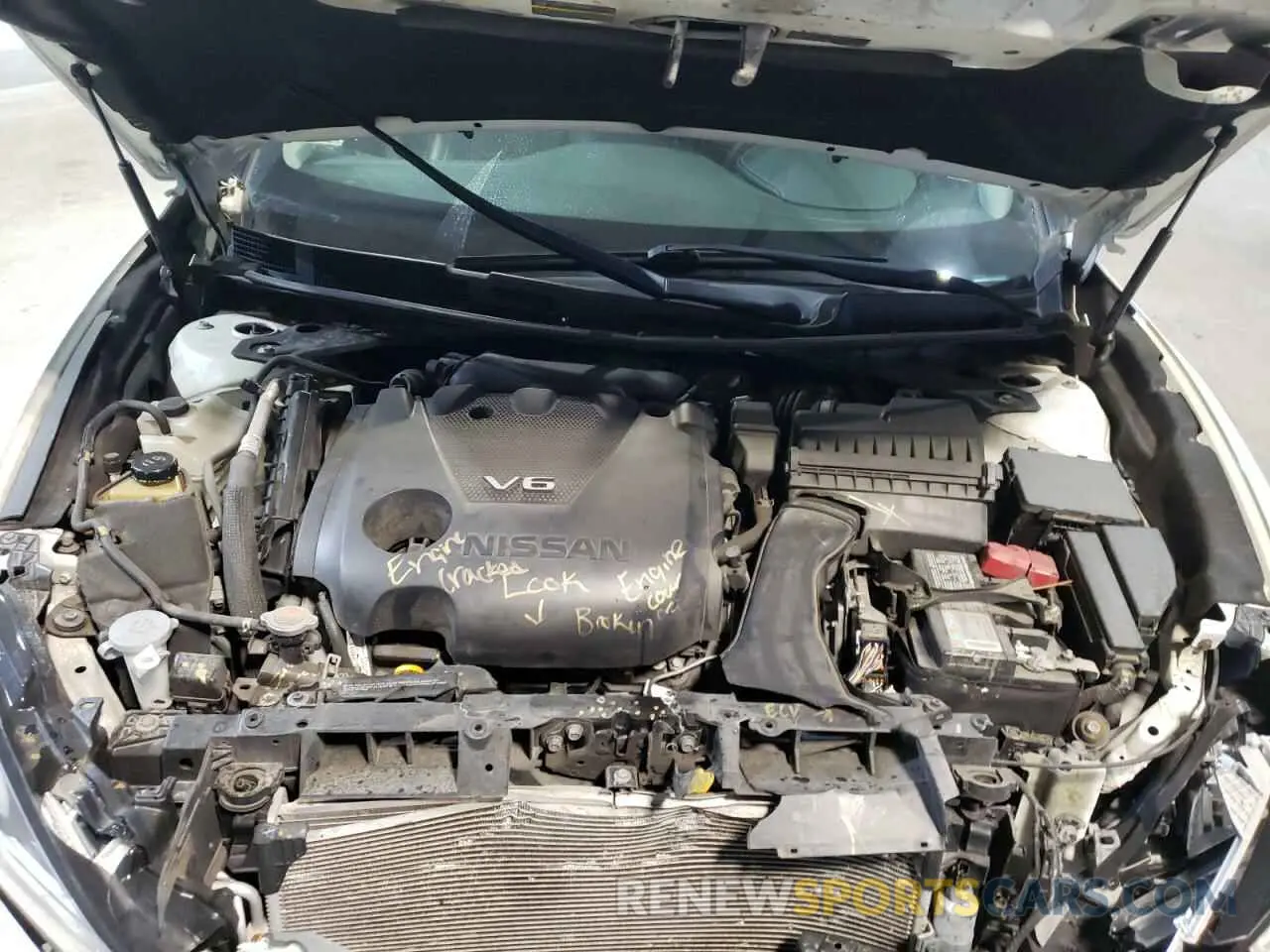 12 fotografías del automóvil dañado 1N4AA6AV0KC375022 NISSAN MAXIMA 2019