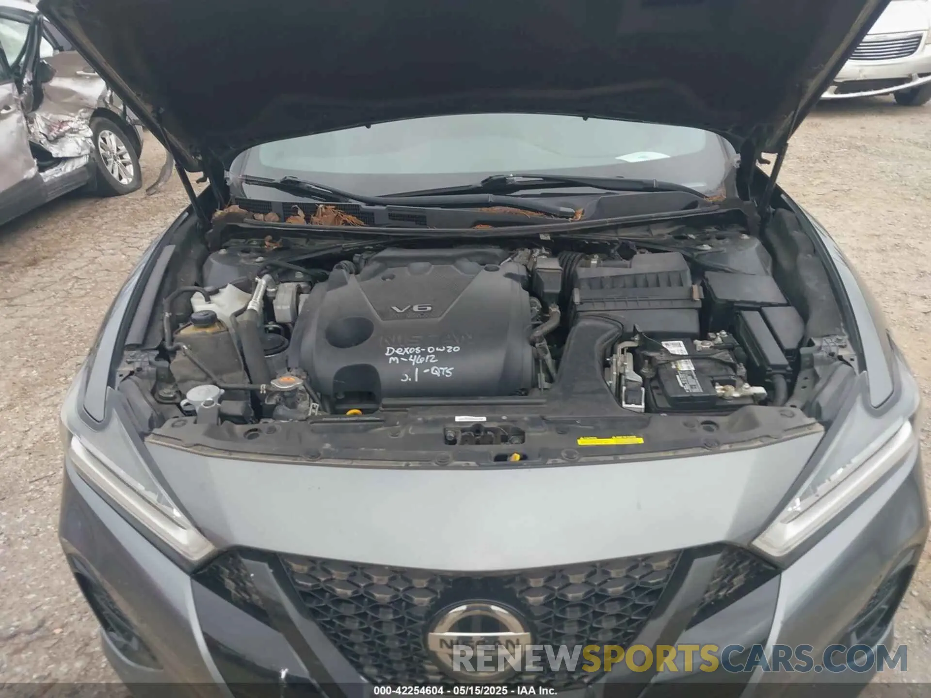 10 fotografías del automóvil dañado 1N4AA6AV0KC377062 NISSAN MAXIMA 2019