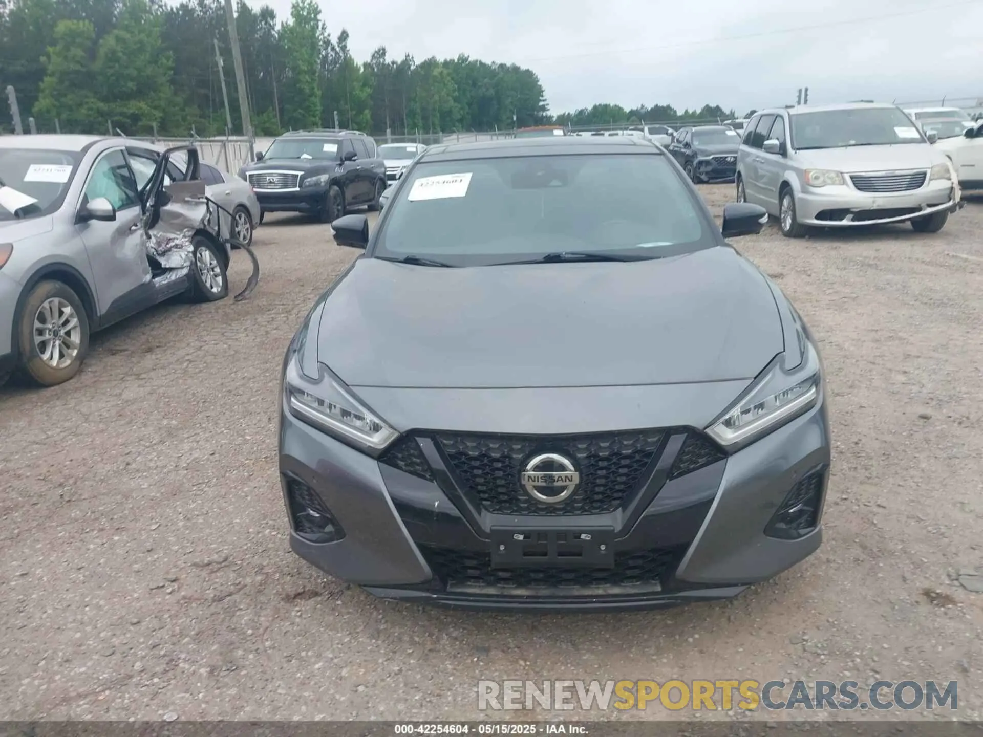 13 fotografías del automóvil dañado 1N4AA6AV0KC377062 NISSAN MAXIMA 2019