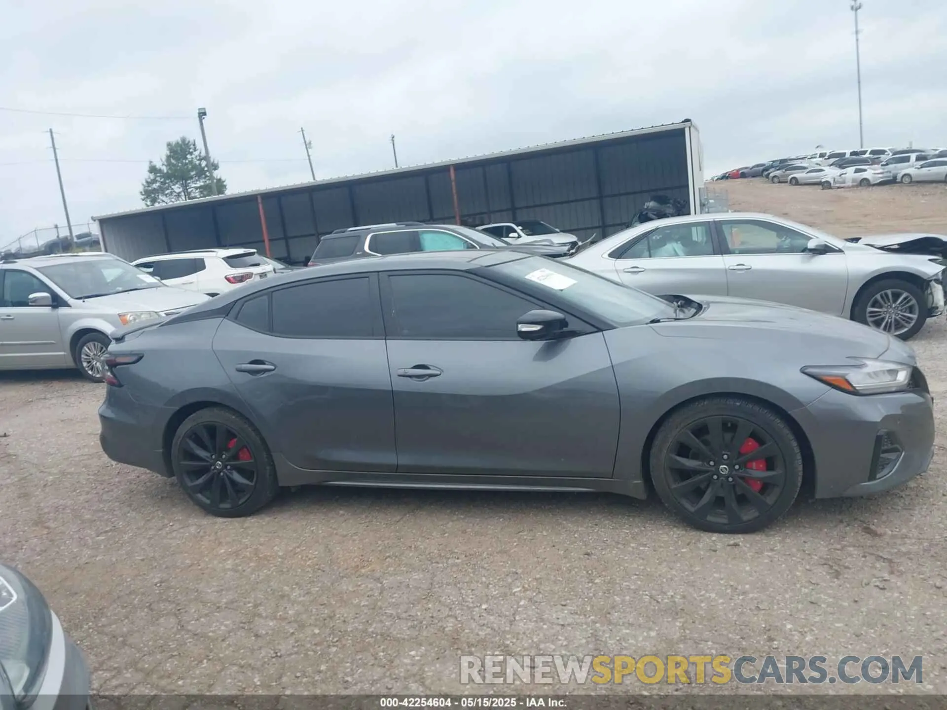 14 fotografías del automóvil dañado 1N4AA6AV0KC377062 NISSAN MAXIMA 2019