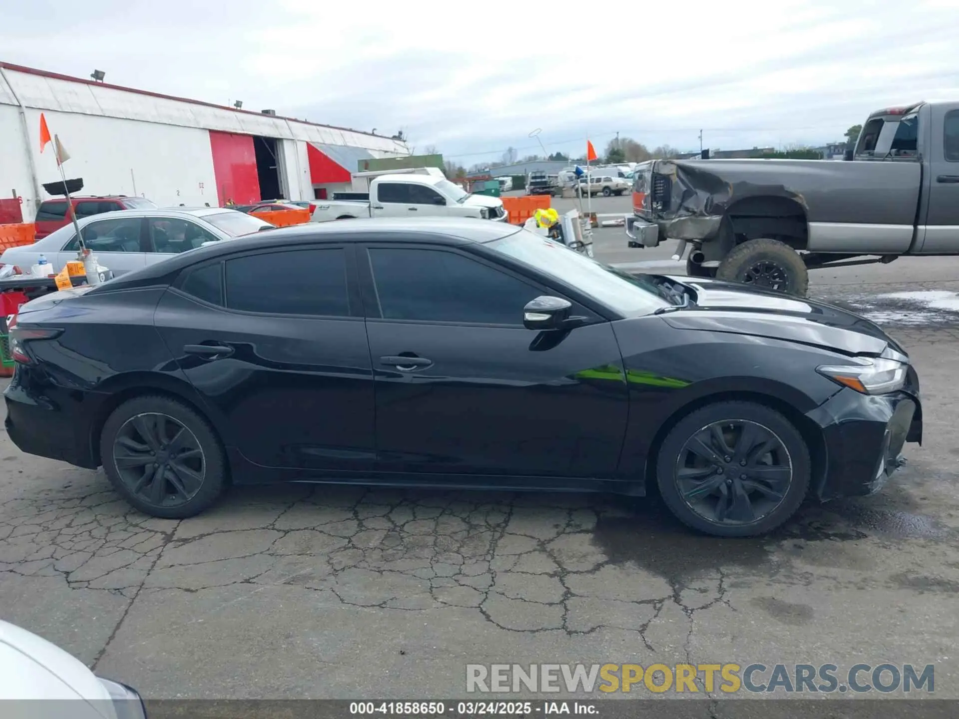13 fotografías del automóvil dañado 1N4AA6AV2KC360683 NISSAN MAXIMA 2019