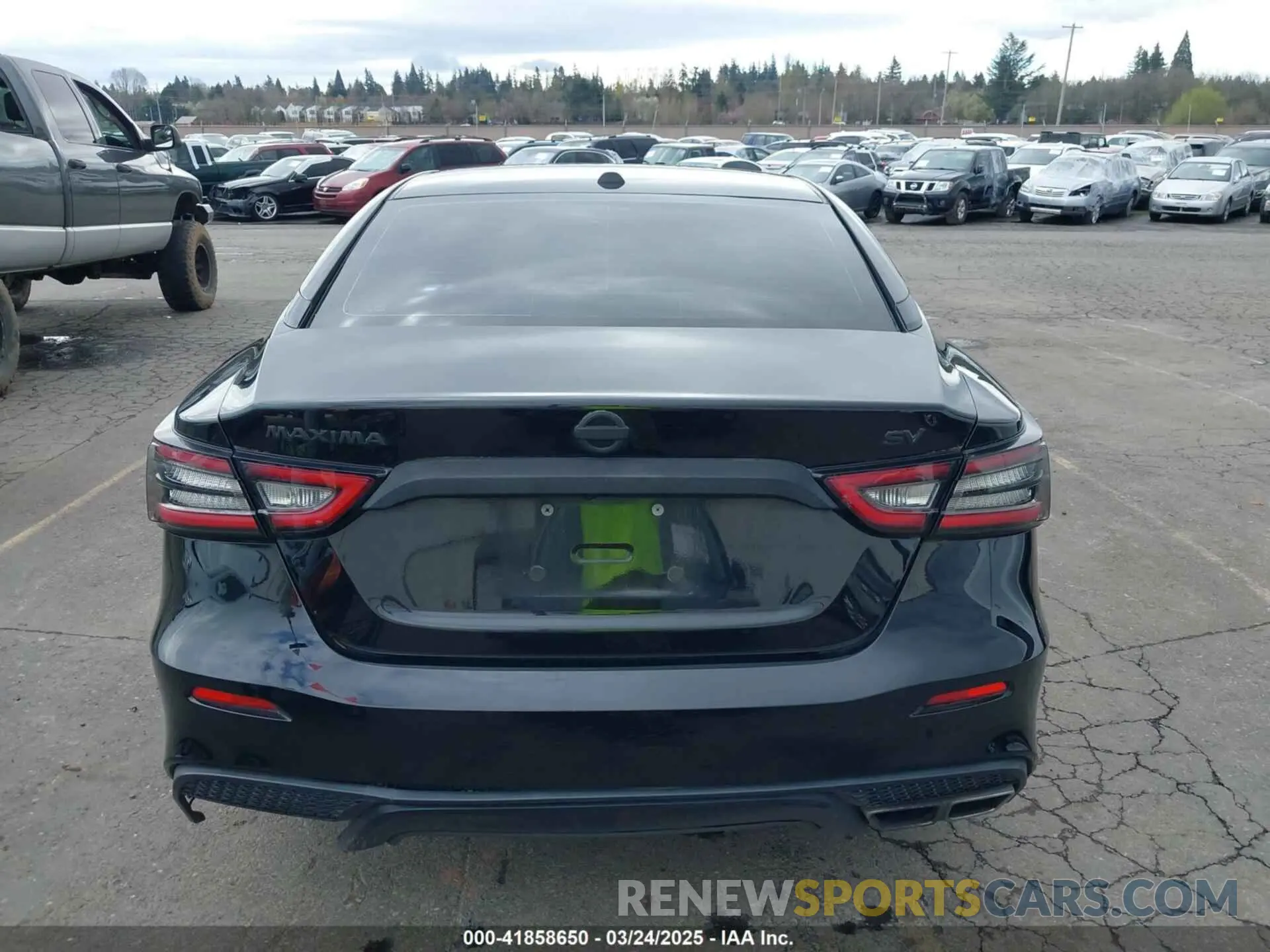 16 fotografías del automóvil dañado 1N4AA6AV2KC360683 NISSAN MAXIMA 2019