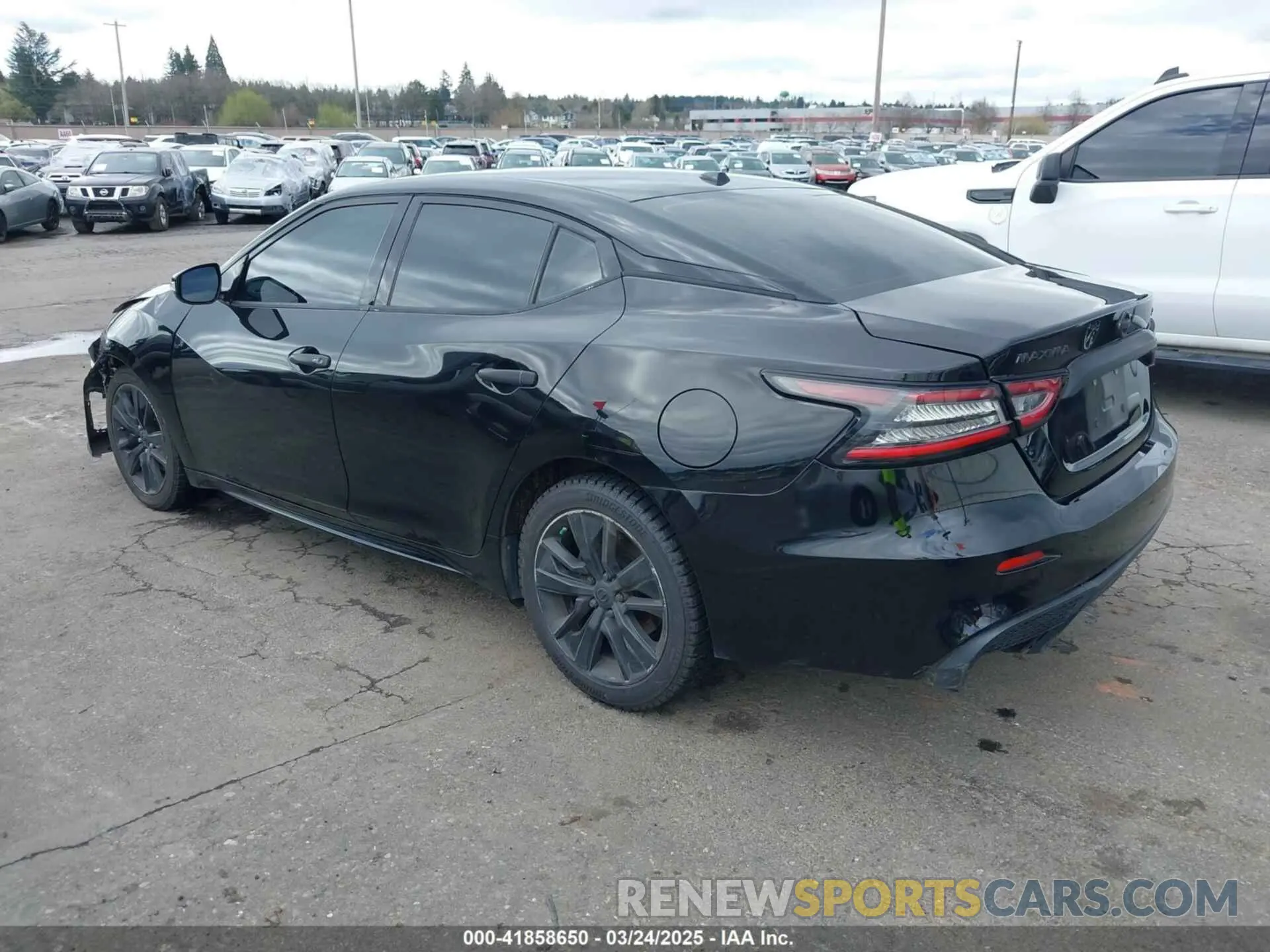 3 fotografías del automóvil dañado 1N4AA6AV2KC360683 NISSAN MAXIMA 2019