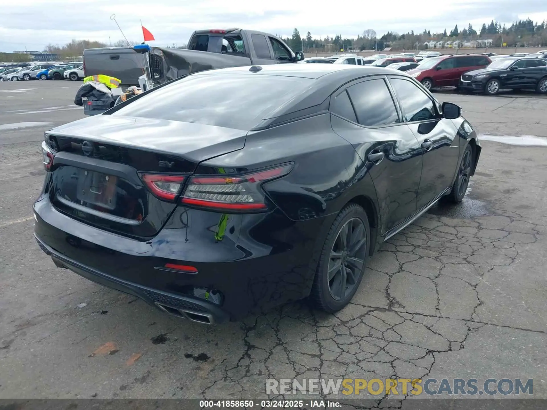 4 fotografías del automóvil dañado 1N4AA6AV2KC360683 NISSAN MAXIMA 2019