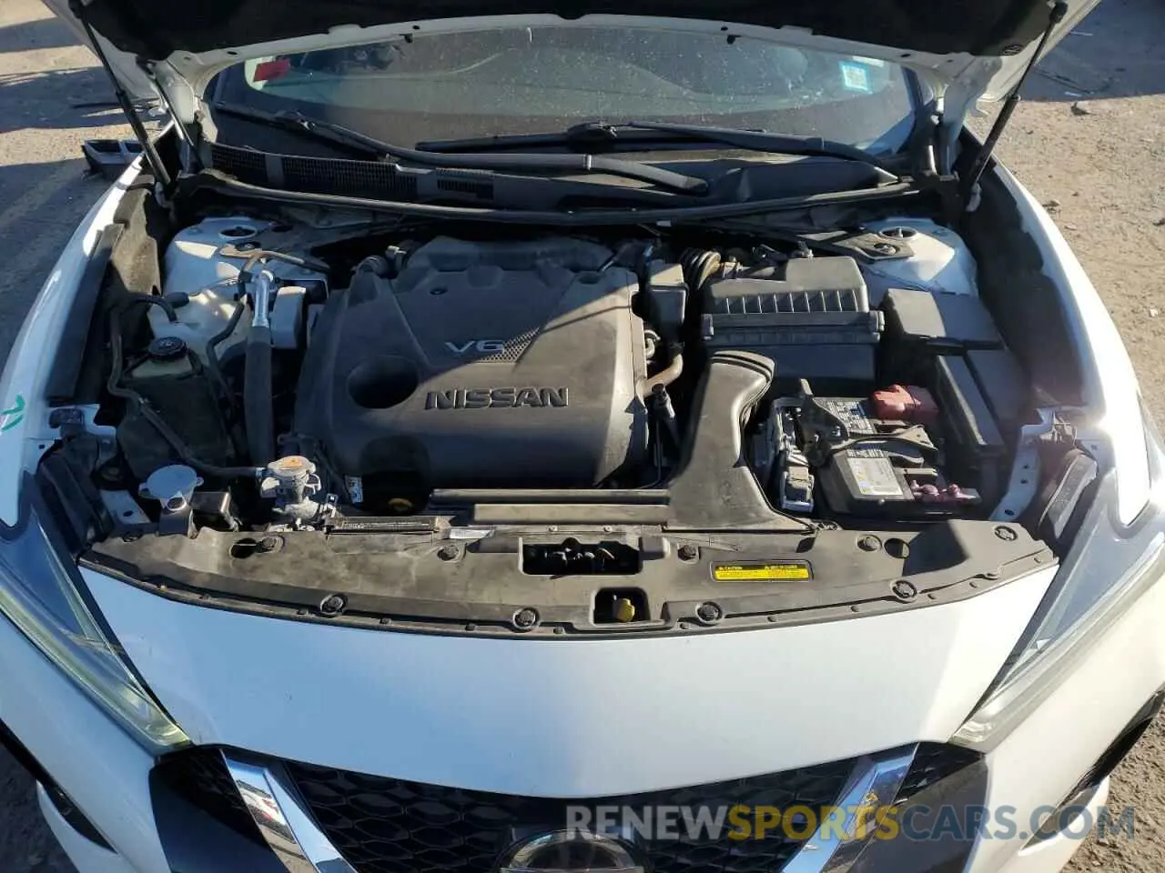 11 fotografías del automóvil dañado 1N4AA6AV2KC367469 NISSAN MAXIMA 2019