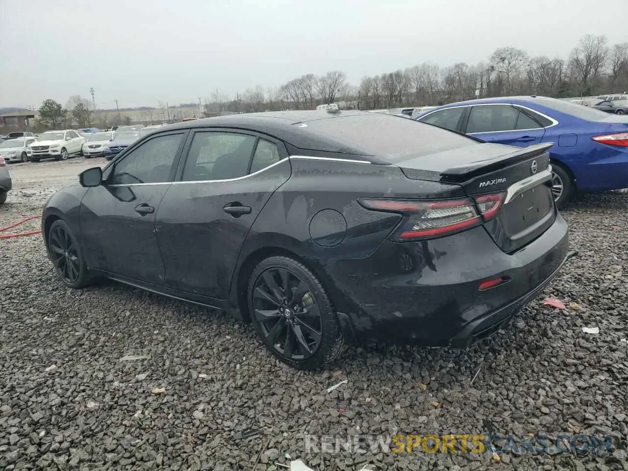 2 fotografías del automóvil dañado 1N4AA6AV2KC375152 NISSAN MAXIMA 2019