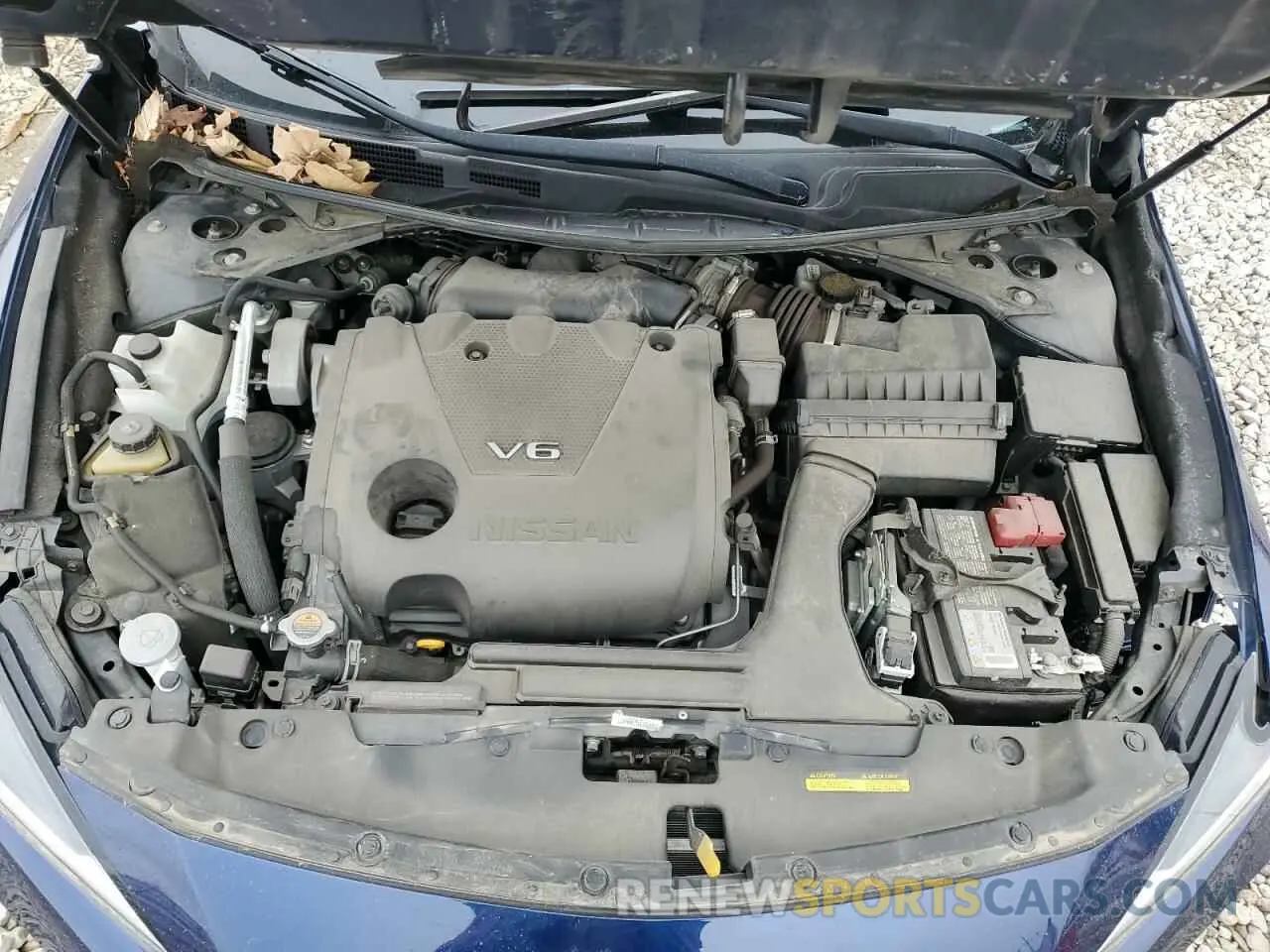 11 fotografías del automóvil dañado 1N4AA6AV3KC360983 NISSAN MAXIMA 2019