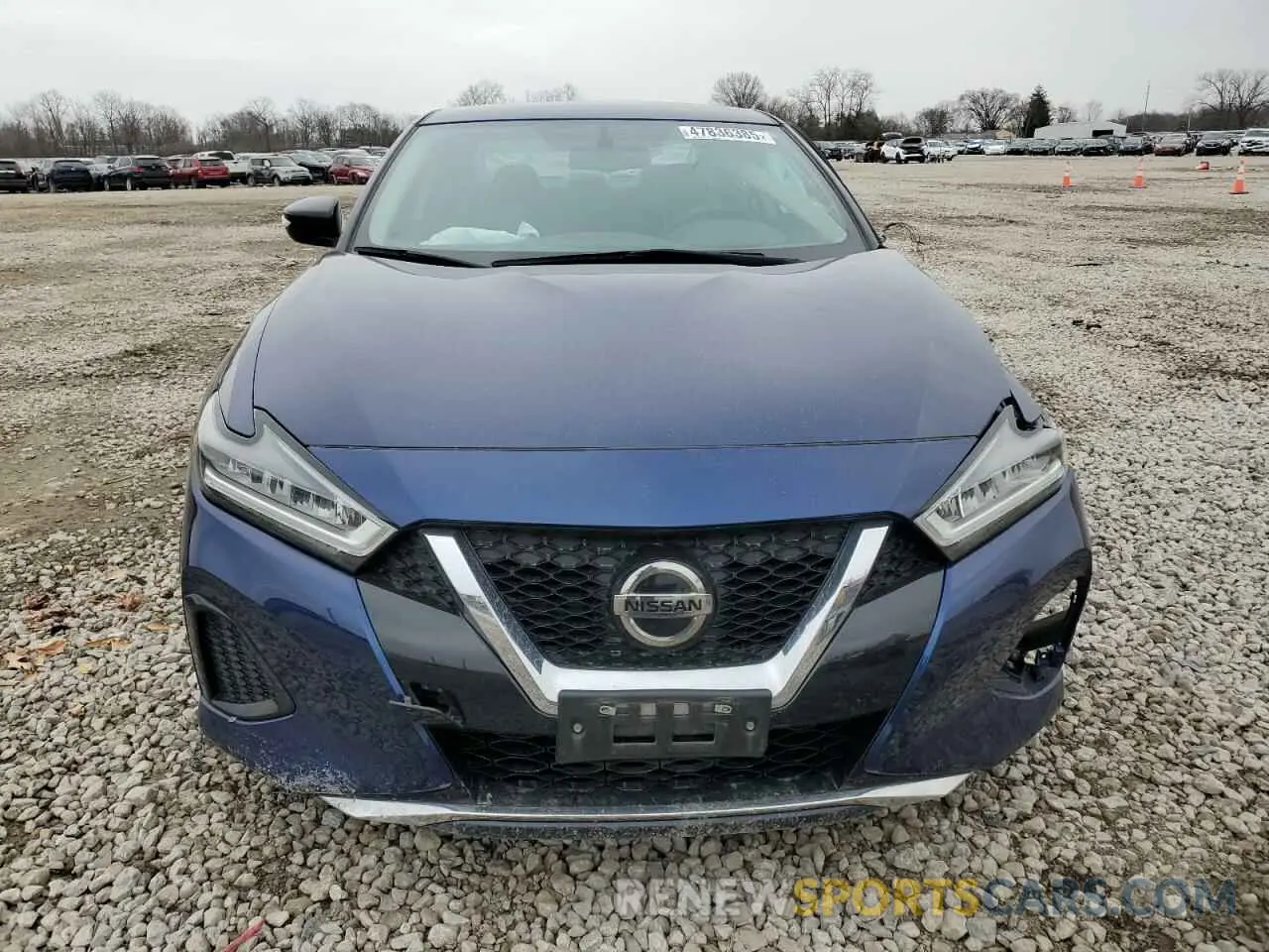5 fotografías del automóvil dañado 1N4AA6AV3KC360983 NISSAN MAXIMA 2019