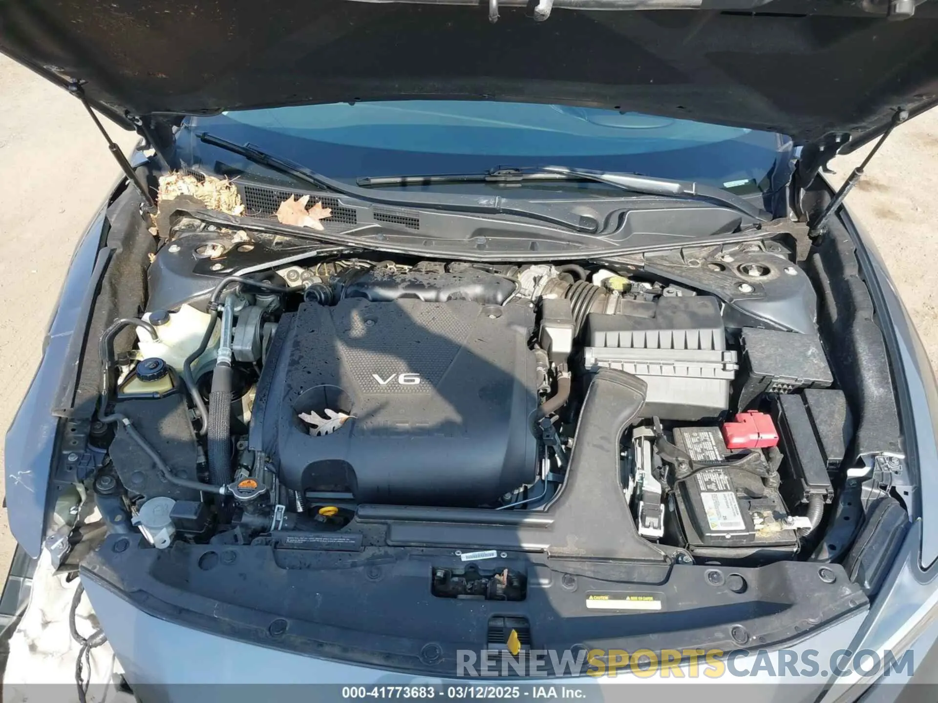 10 fotografías del automóvil dañado 1N4AA6AV3KC366766 NISSAN MAXIMA 2019