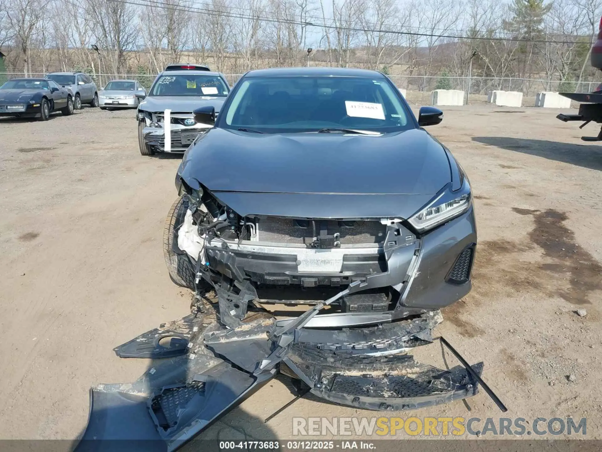 12 fotografías del automóvil dañado 1N4AA6AV3KC366766 NISSAN MAXIMA 2019