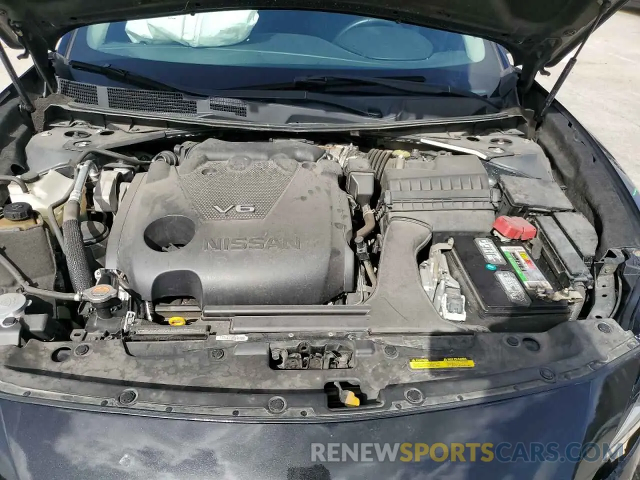 12 fotografías del automóvil dañado 1N4AA6AV3KC377332 NISSAN MAXIMA 2019