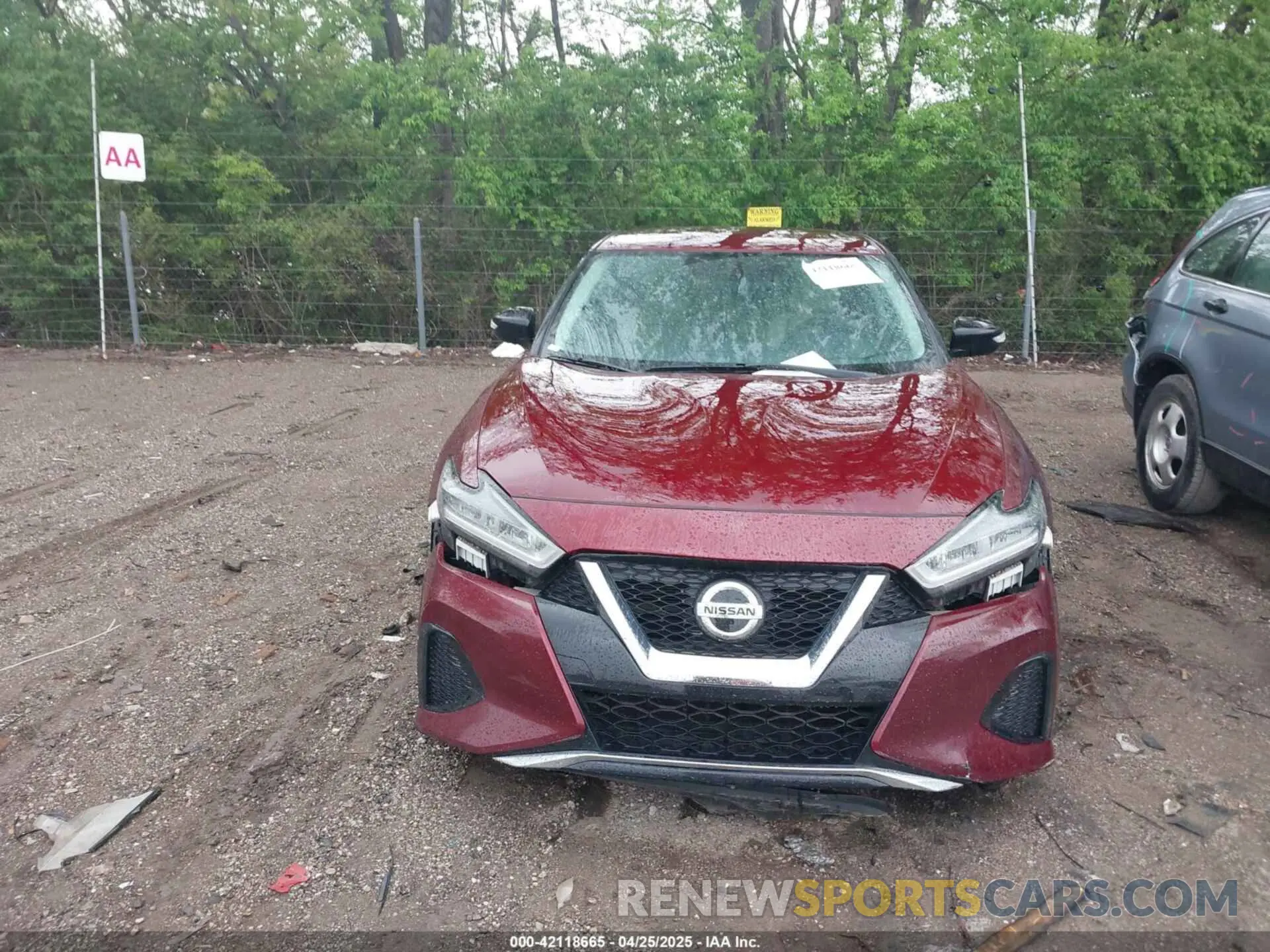 12 fotografías del automóvil dañado 1N4AA6AV4KC361687 NISSAN MAXIMA 2019