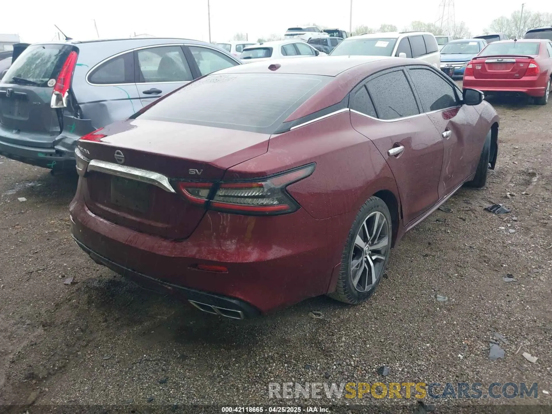 4 fotografías del automóvil dañado 1N4AA6AV4KC361687 NISSAN MAXIMA 2019