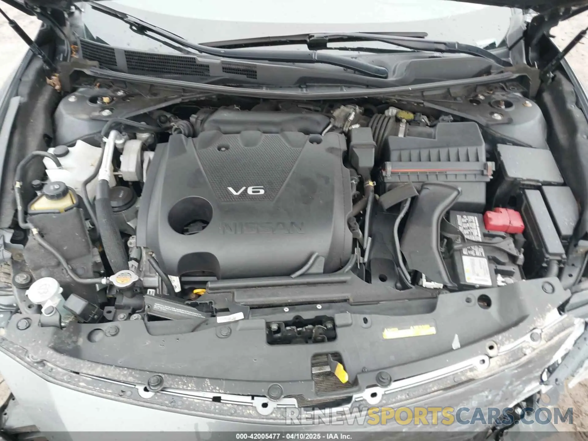 10 fotografías del automóvil dañado 1N4AA6AV4KC377243 NISSAN MAXIMA 2019