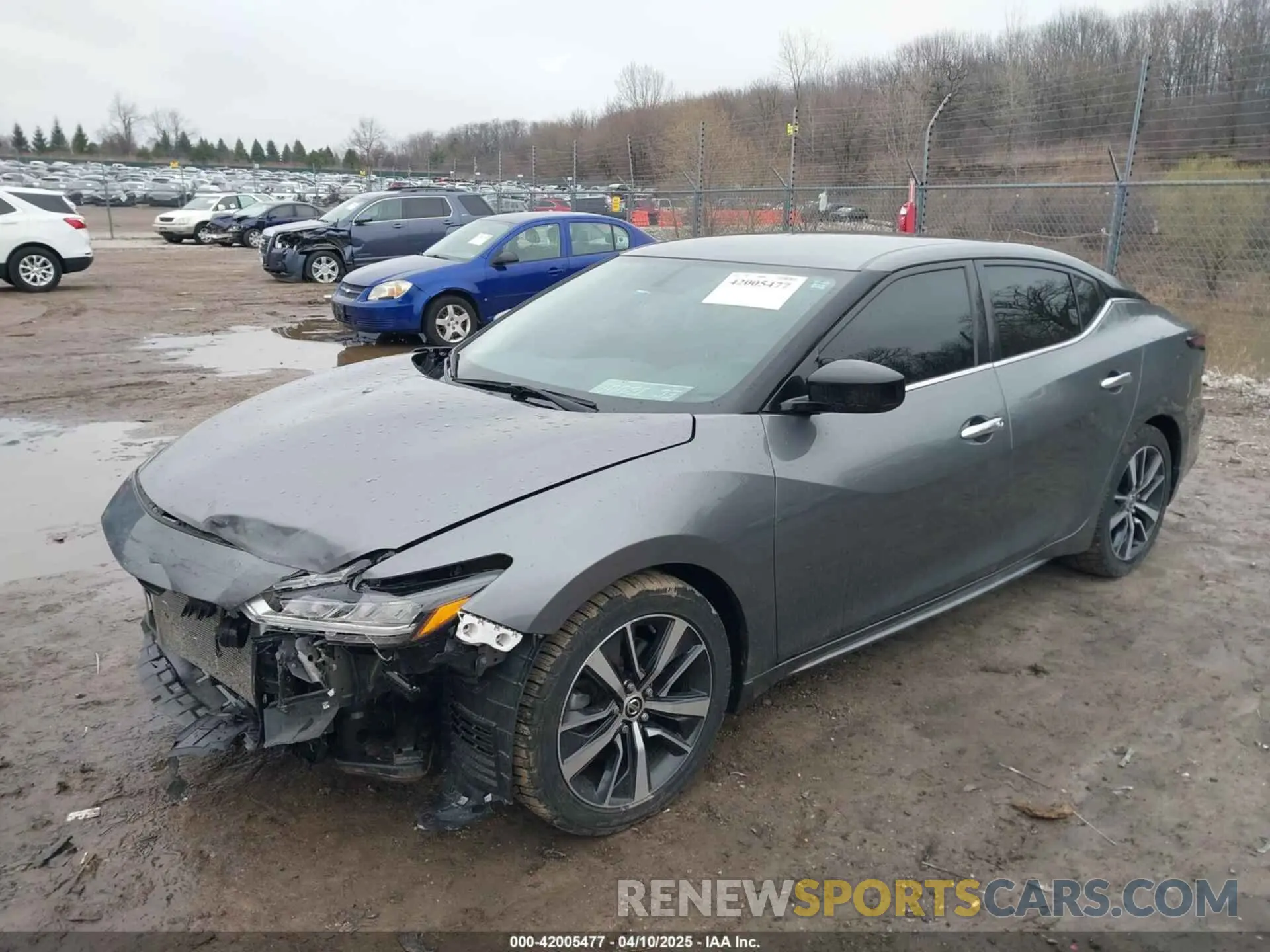 2 fotografías del automóvil dañado 1N4AA6AV4KC377243 NISSAN MAXIMA 2019