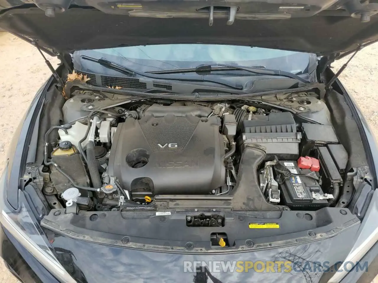 11 fotografías del automóvil dañado 1N4AA6AV5KC366719 NISSAN MAXIMA 2019