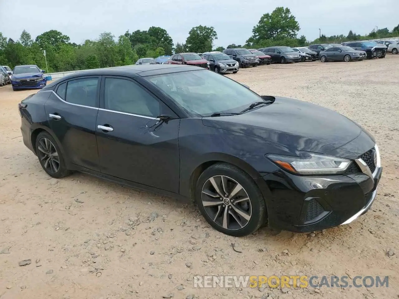 4 fotografías del automóvil dañado 1N4AA6AV5KC366719 NISSAN MAXIMA 2019