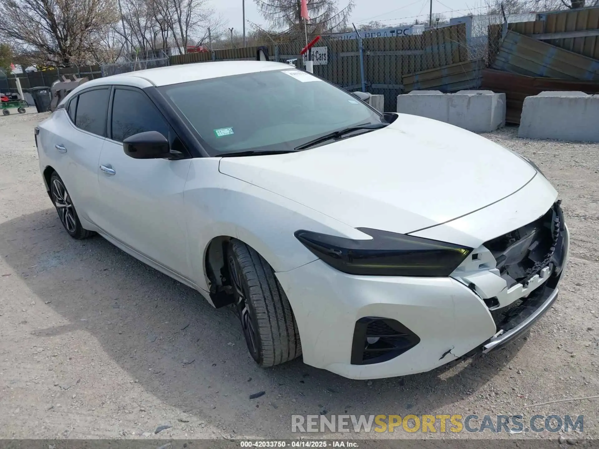 1 fotografías del automóvil dañado 1N4AA6AV5KC384217 NISSAN MAXIMA 2019