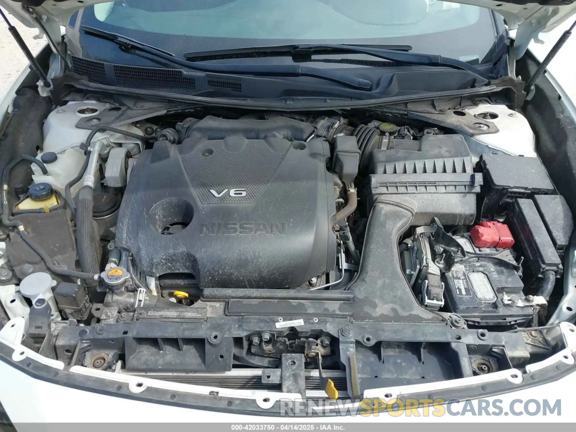 10 fotografías del automóvil dañado 1N4AA6AV5KC384217 NISSAN MAXIMA 2019