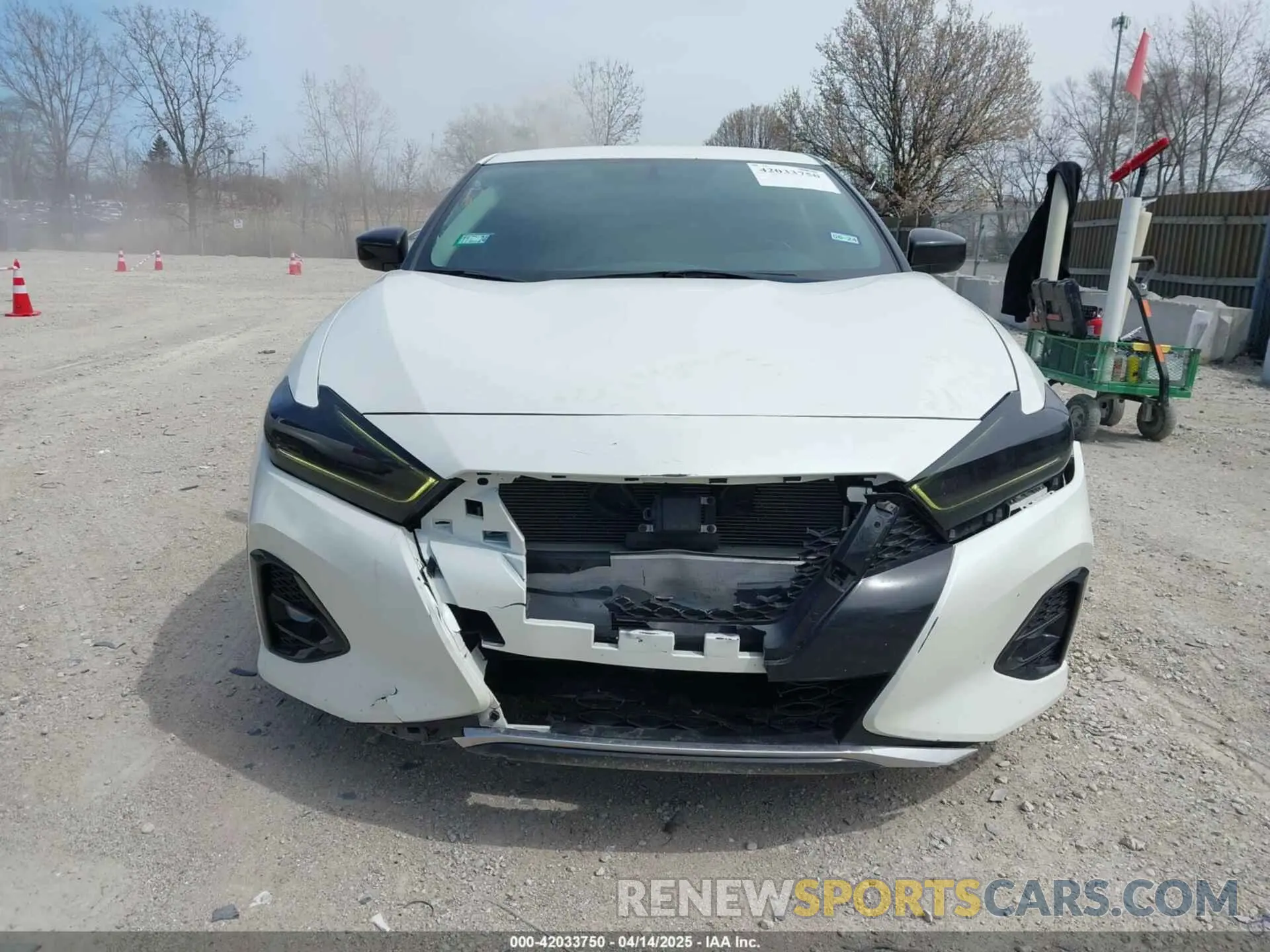 12 fotografías del automóvil dañado 1N4AA6AV5KC384217 NISSAN MAXIMA 2019
