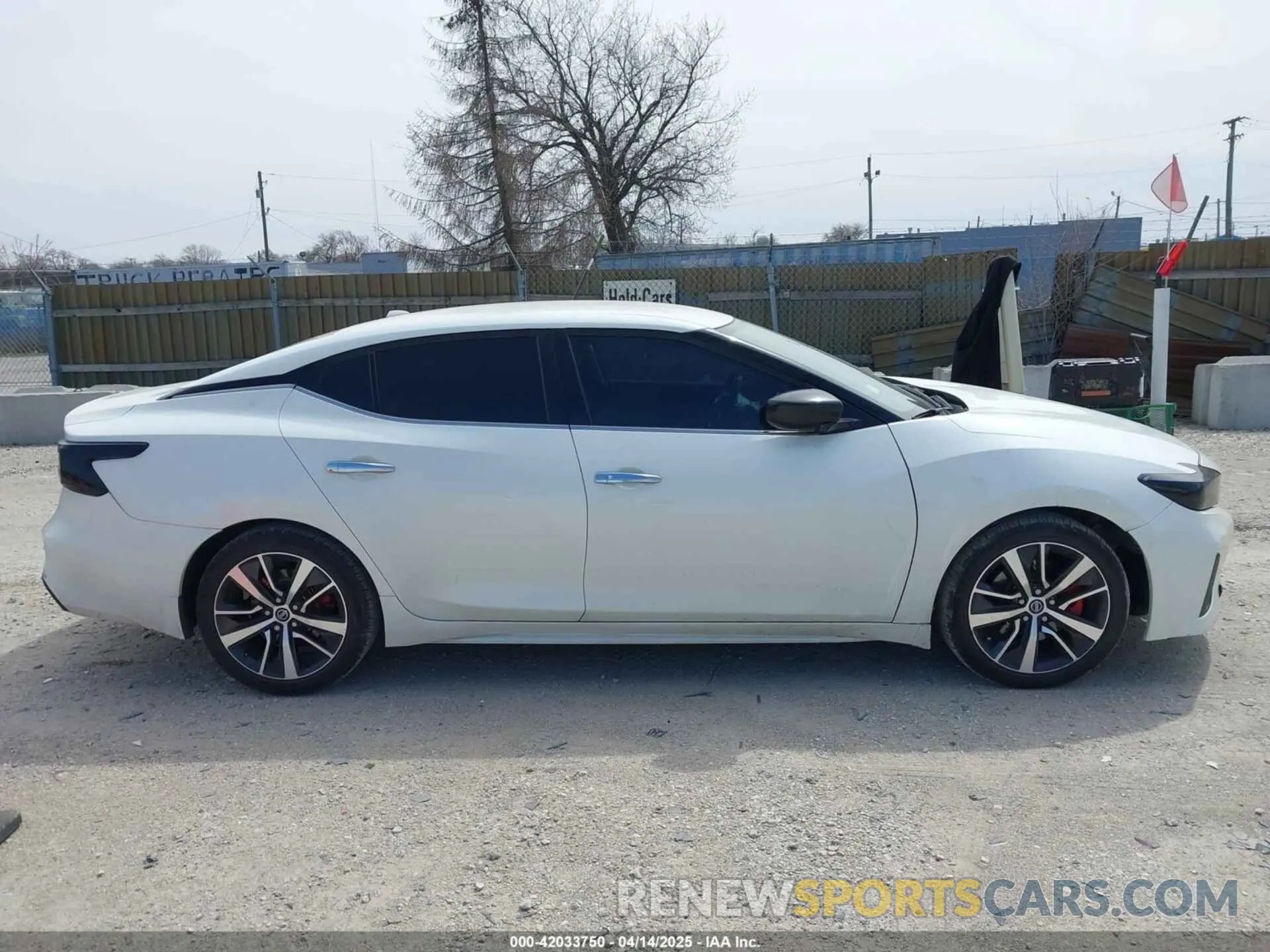 13 fotografías del automóvil dañado 1N4AA6AV5KC384217 NISSAN MAXIMA 2019