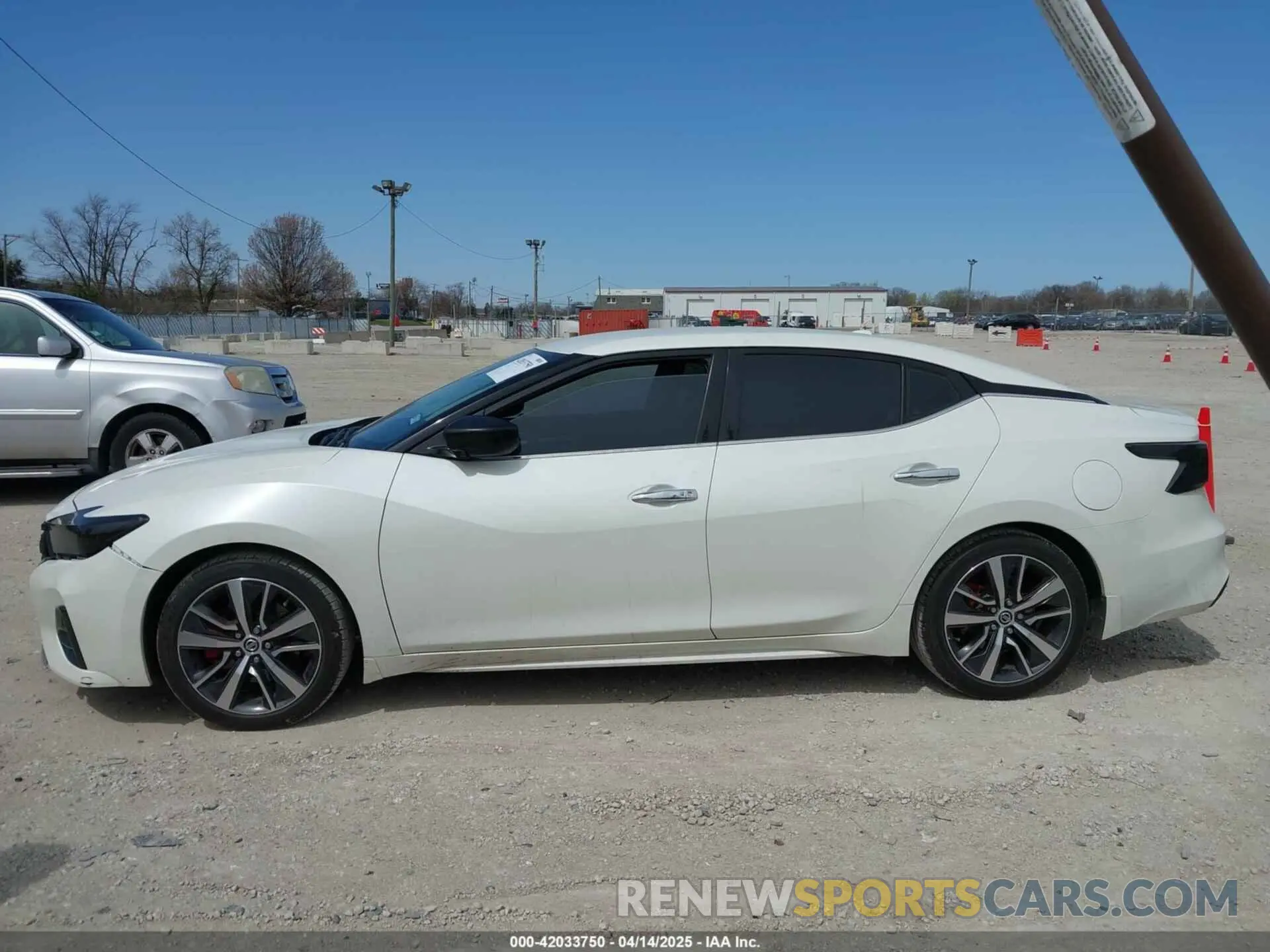 14 fotografías del automóvil dañado 1N4AA6AV5KC384217 NISSAN MAXIMA 2019