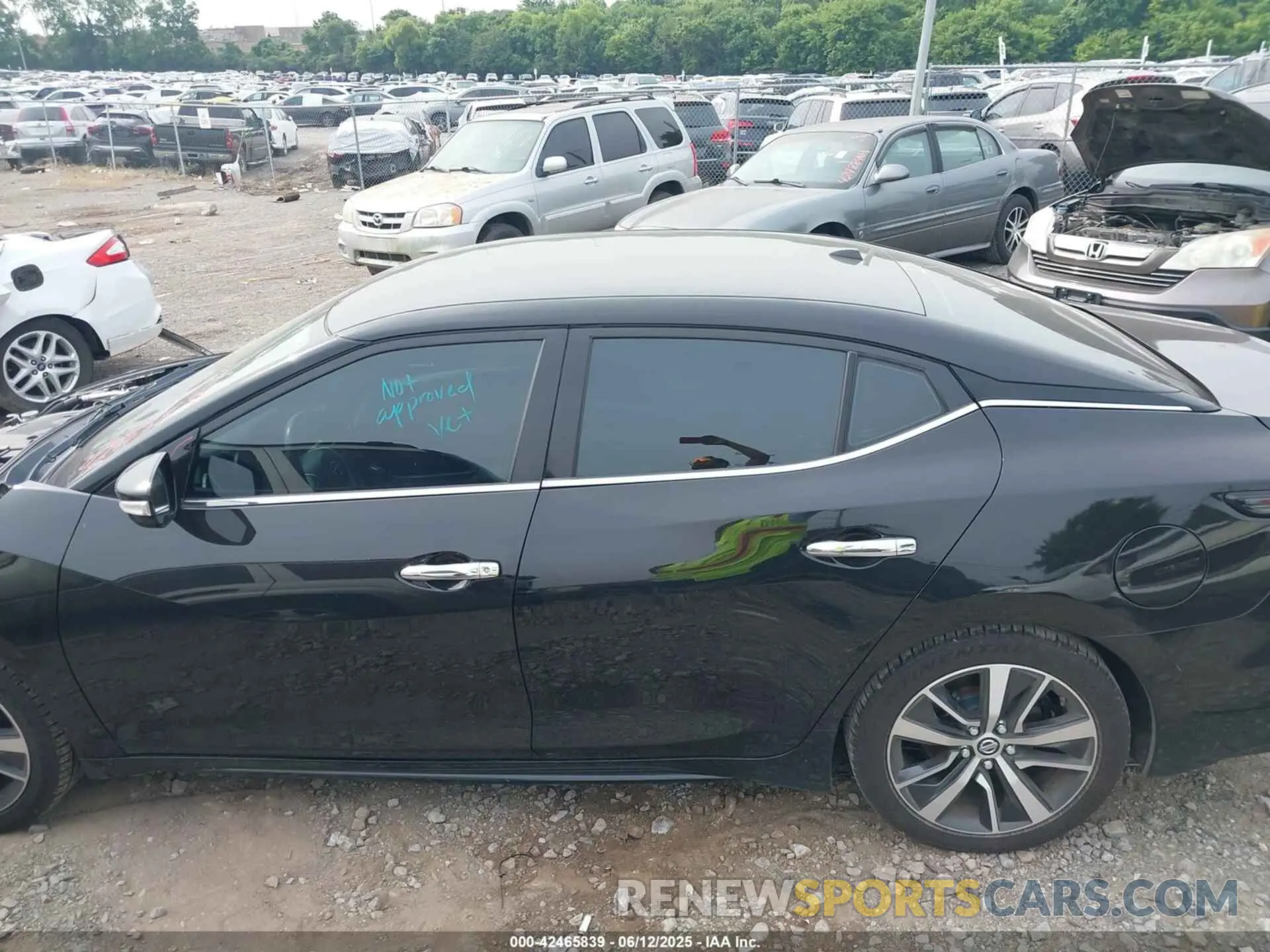14 fotografías del automóvil dañado 1N4AA6AV6KC360167 NISSAN MAXIMA 2019