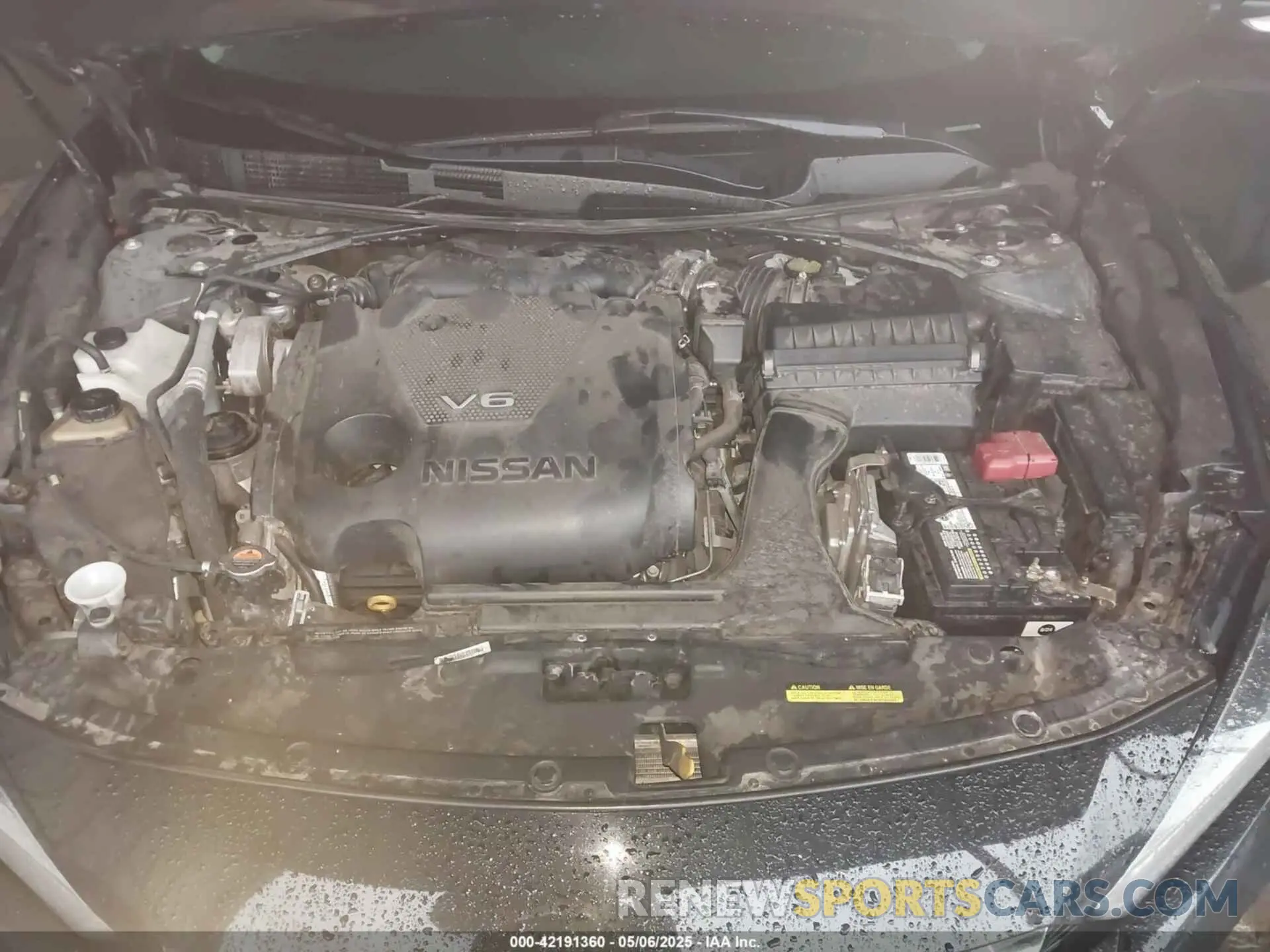 10 fotografías del automóvil dañado 1N4AA6AV6KC365031 NISSAN MAXIMA 2019