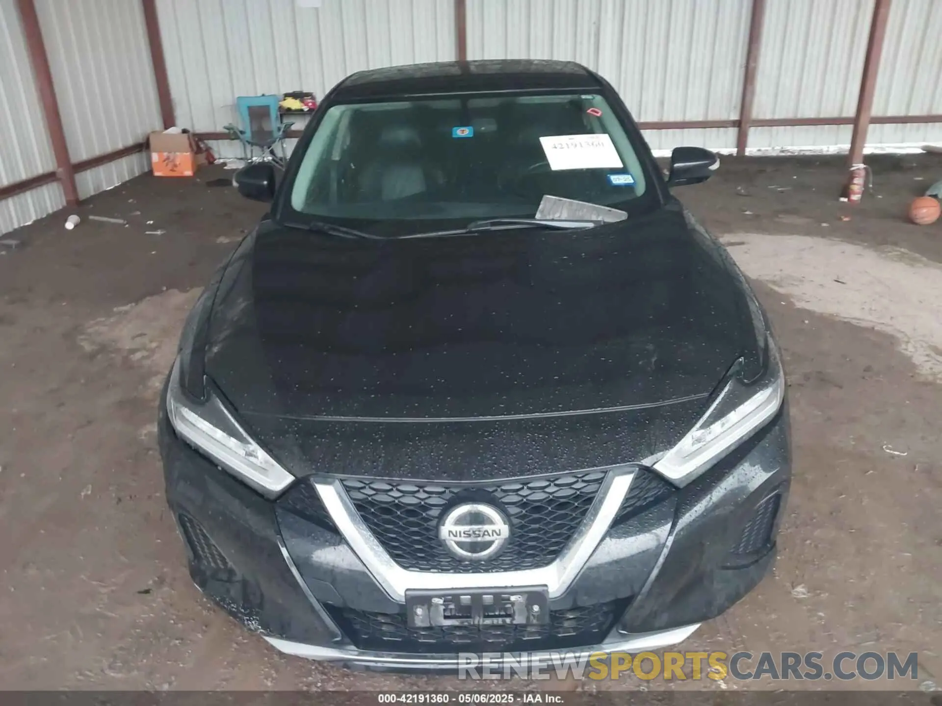 12 fotografías del automóvil dañado 1N4AA6AV6KC365031 NISSAN MAXIMA 2019