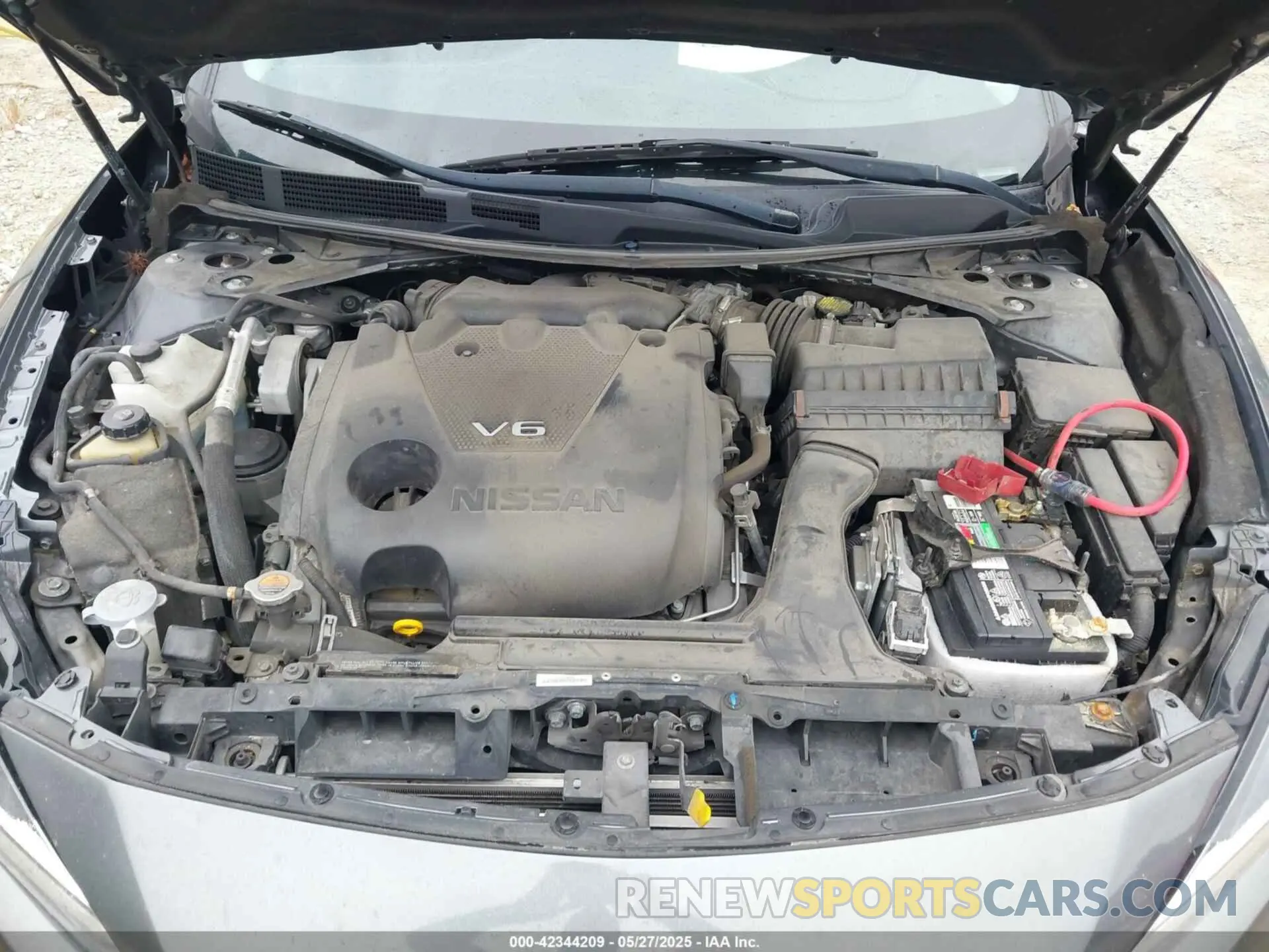 10 fotografías del automóvil dañado 1N4AA6AV6KC371850 NISSAN MAXIMA 2019