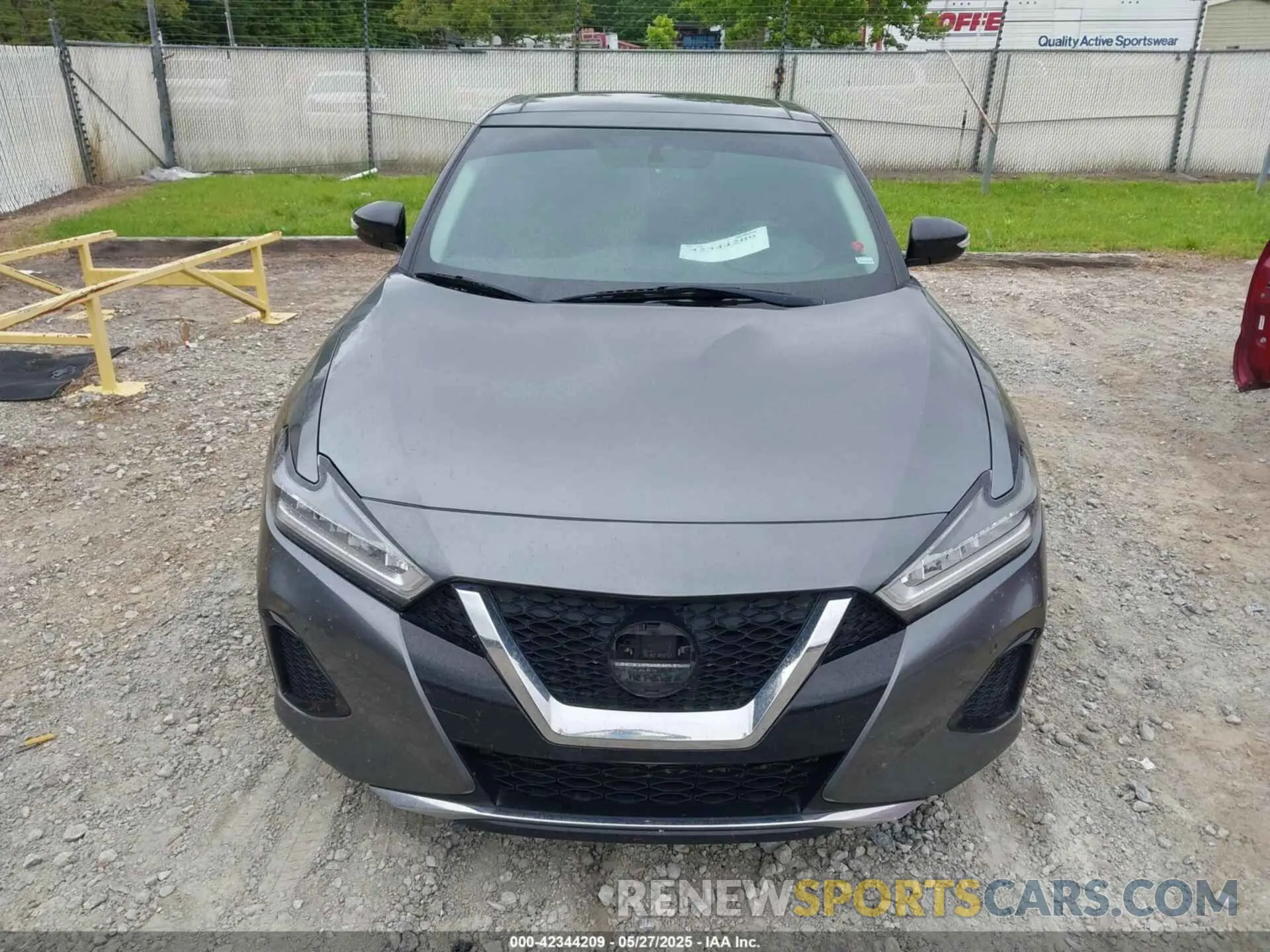 12 fotografías del automóvil dañado 1N4AA6AV6KC371850 NISSAN MAXIMA 2019